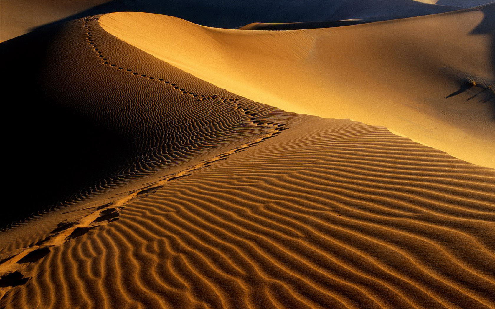 Desert Sand Backgrounds