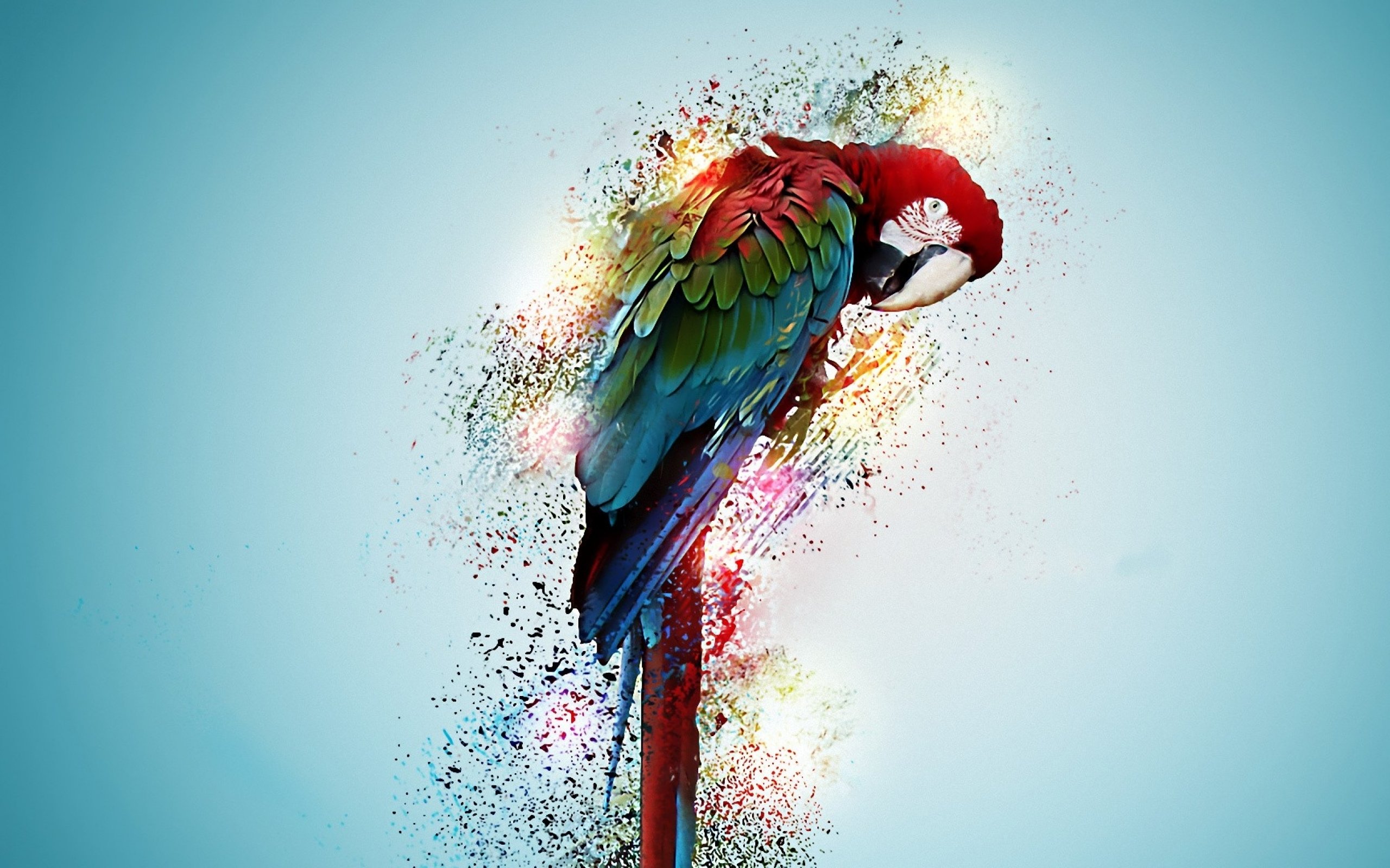 Parrot Bird Tropical Digital Art Wallpaper HD