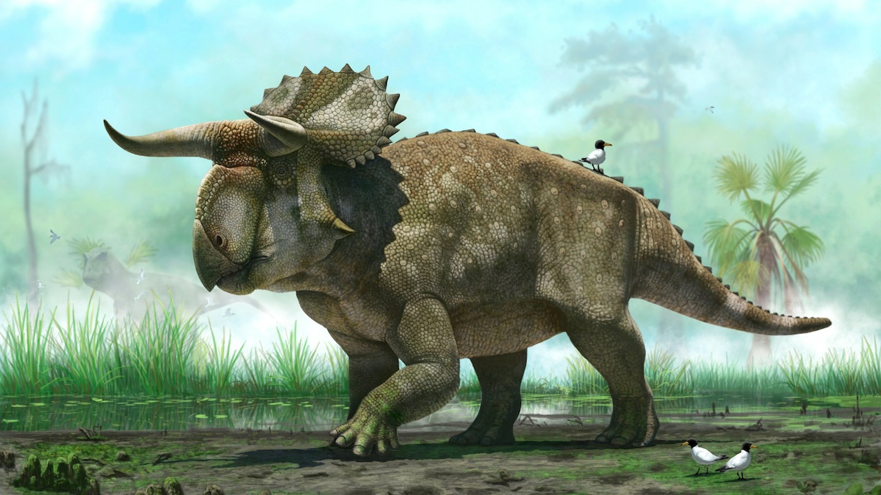 New Dinosaur Is Pretty Rad Looking