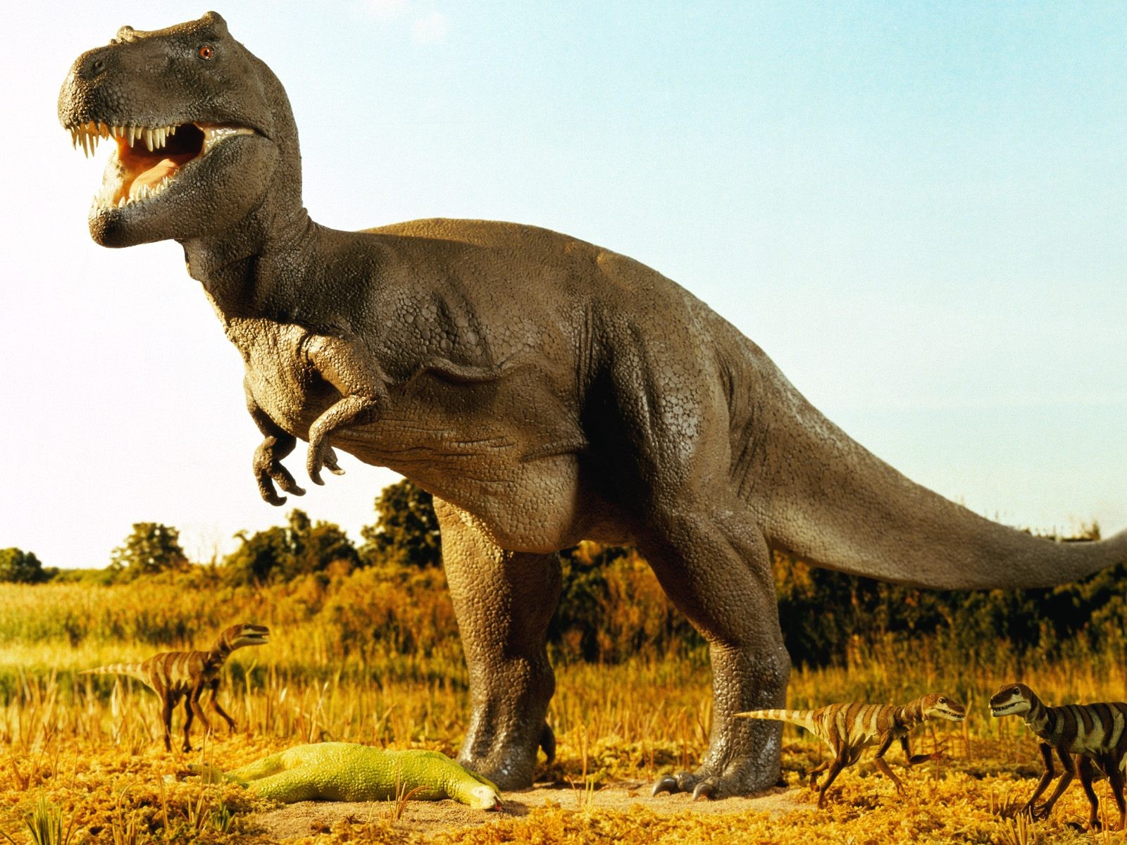 "If the asteroid hit five million years later or earlier, the dinosaurs might still be around," says paleontologist Stephen Brusatte of the United Kingdom's ...