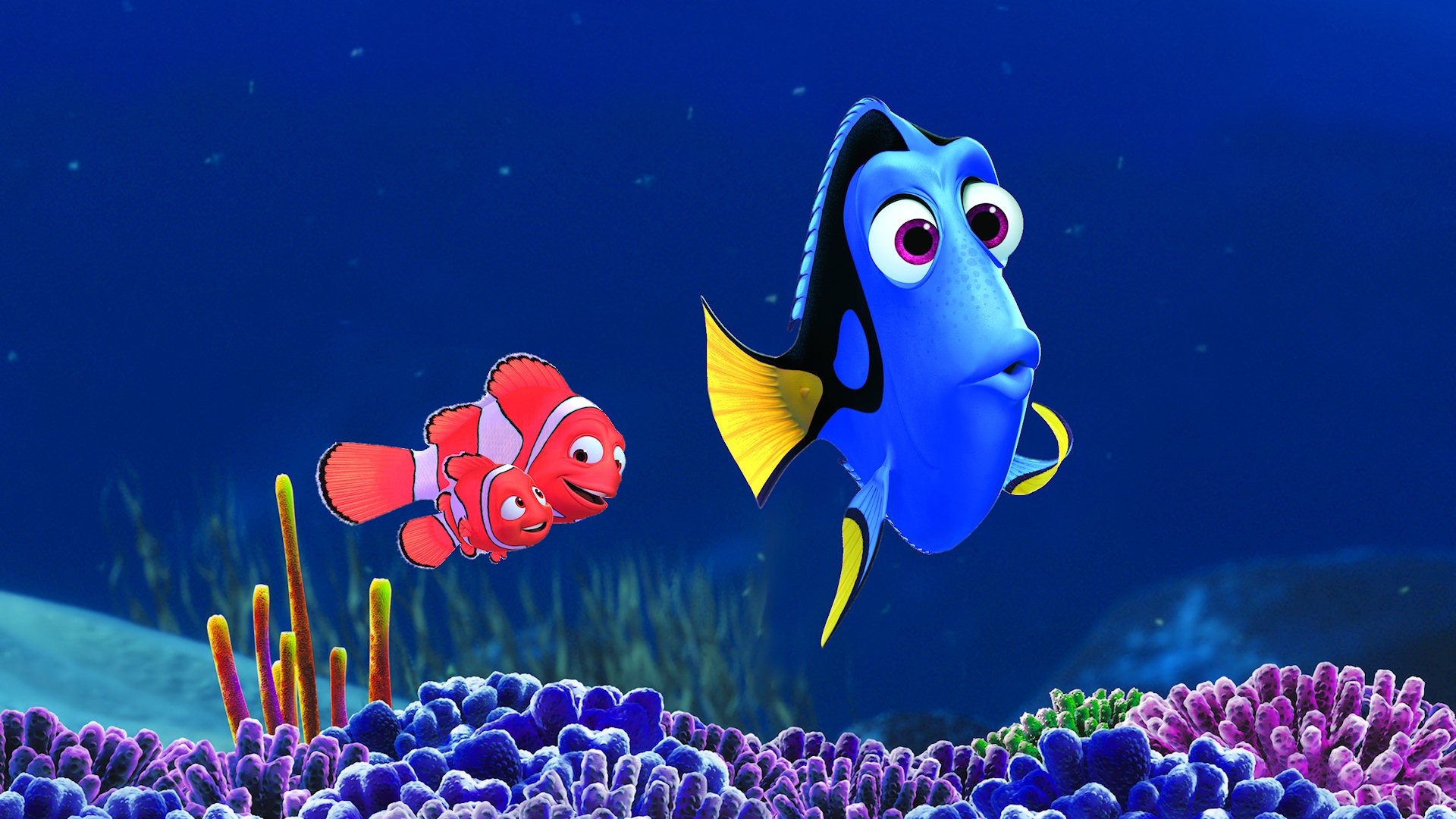 Finding Nemo Dory Disney Wallpaper For Desktop