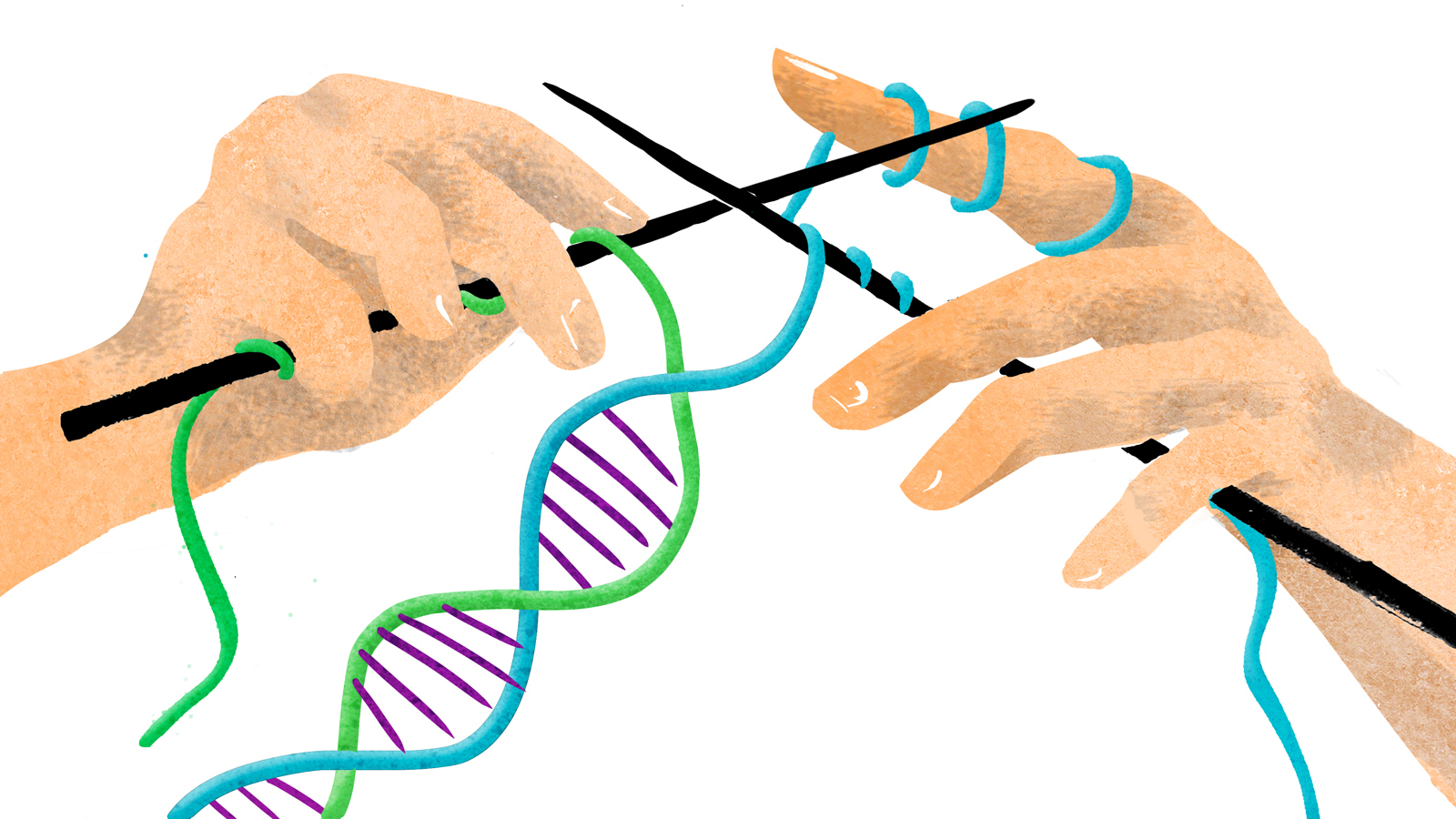 Combining The DNA Of Three People Raises Ethical Questions | KUOW News and Information