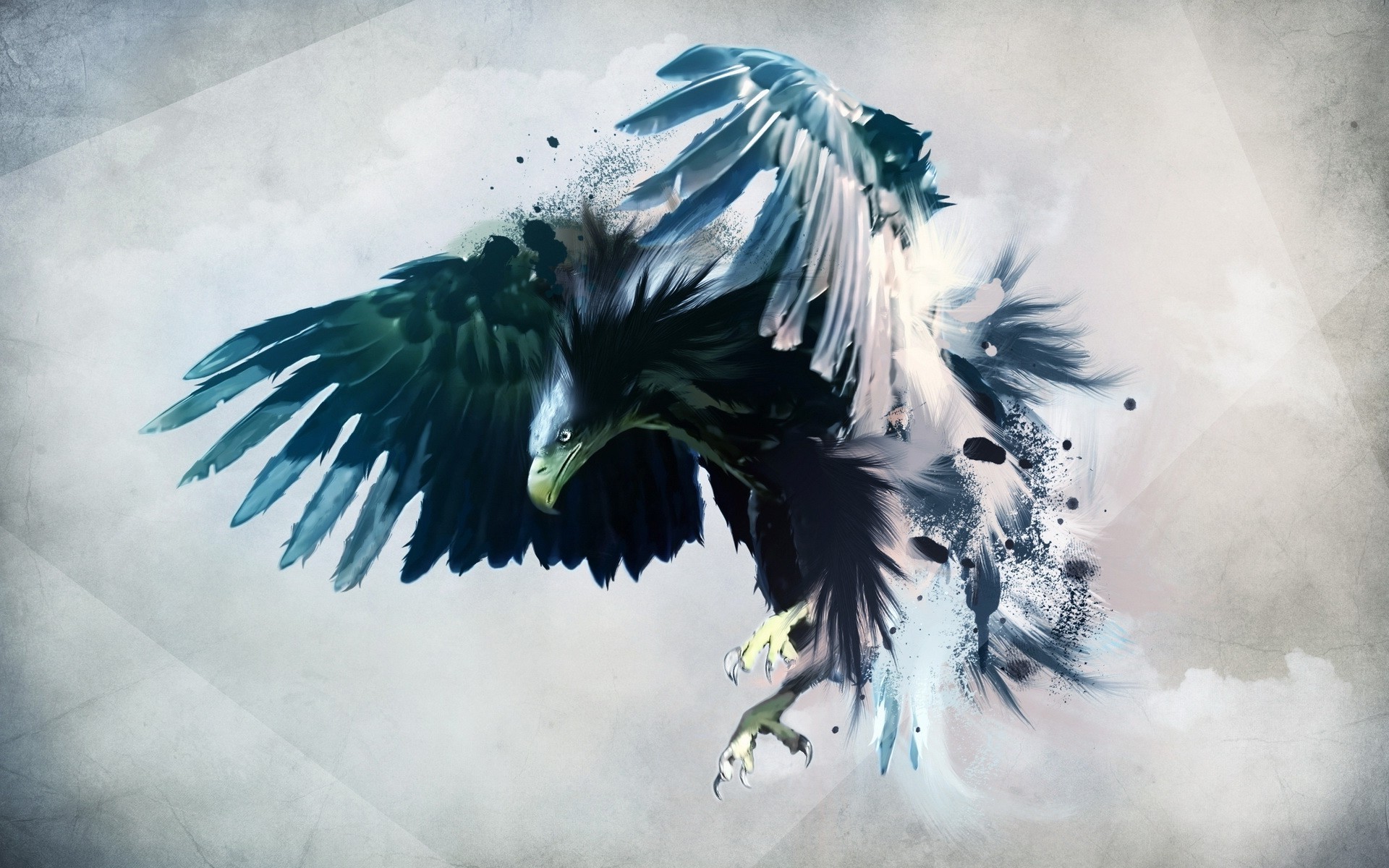 Eagle download free wallpapers