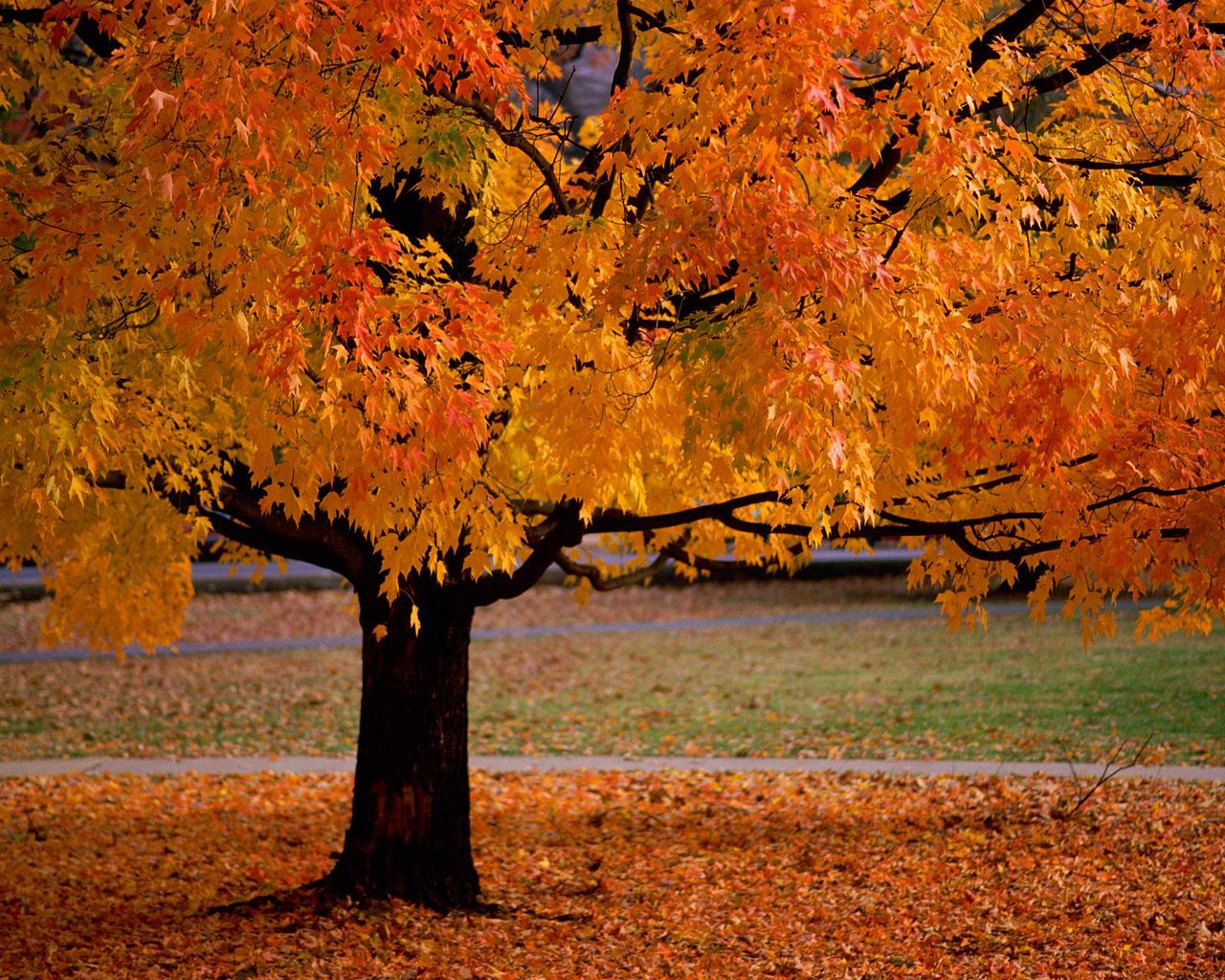 Beautiful Nature Scenery Fall Hd Desktop 10 HD Wallpapers