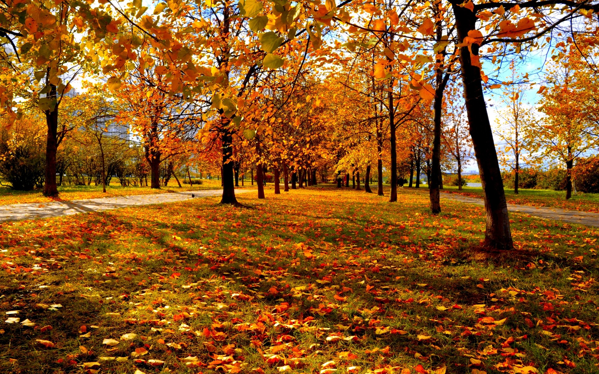 Autumn Wallpaper Examples For Your Desktop Background - vrogue.co