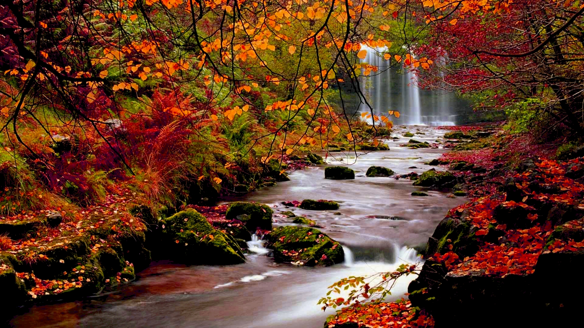 hd wallpapers nature fall6