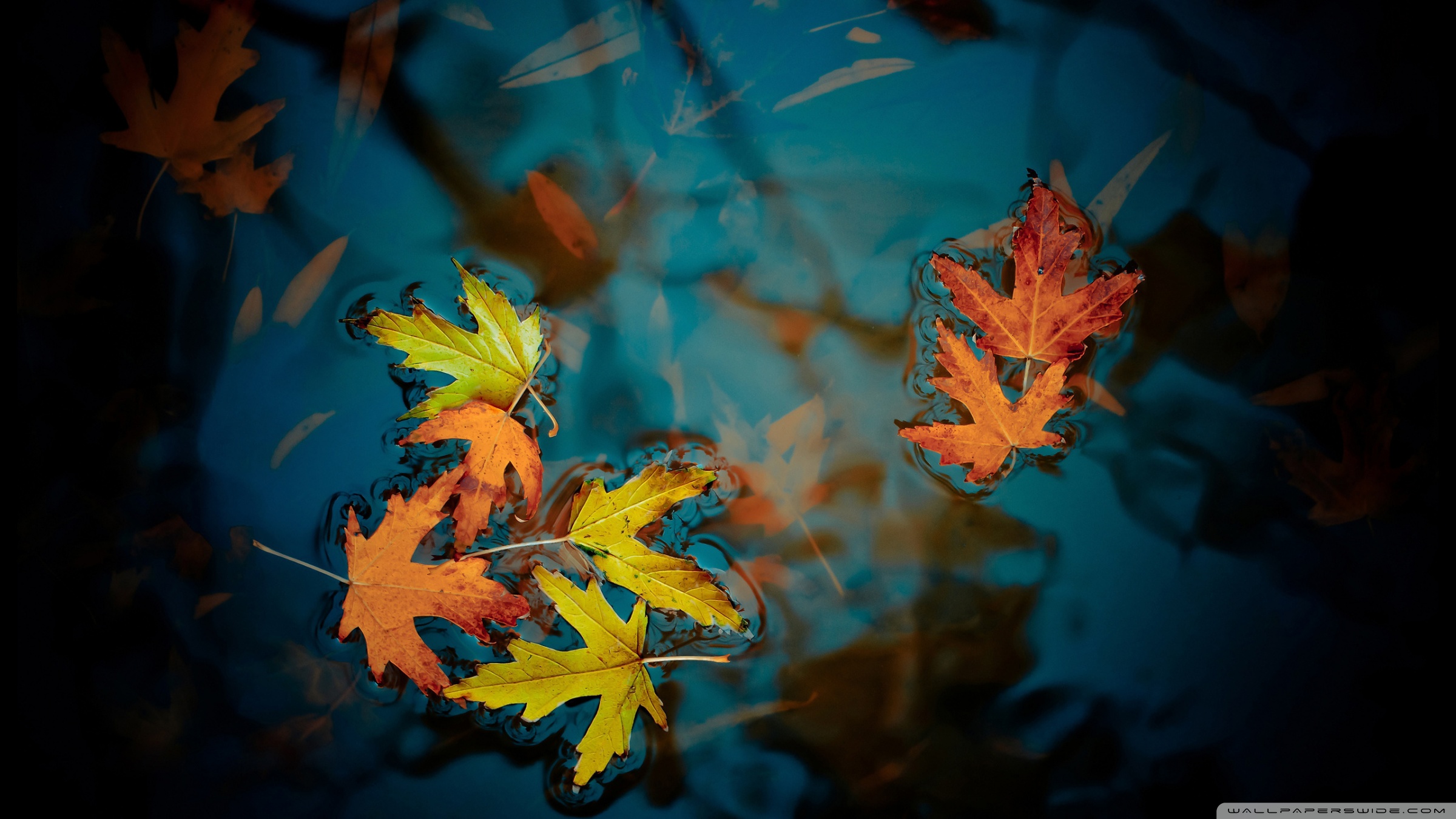 Falling Leaves Wallpaper