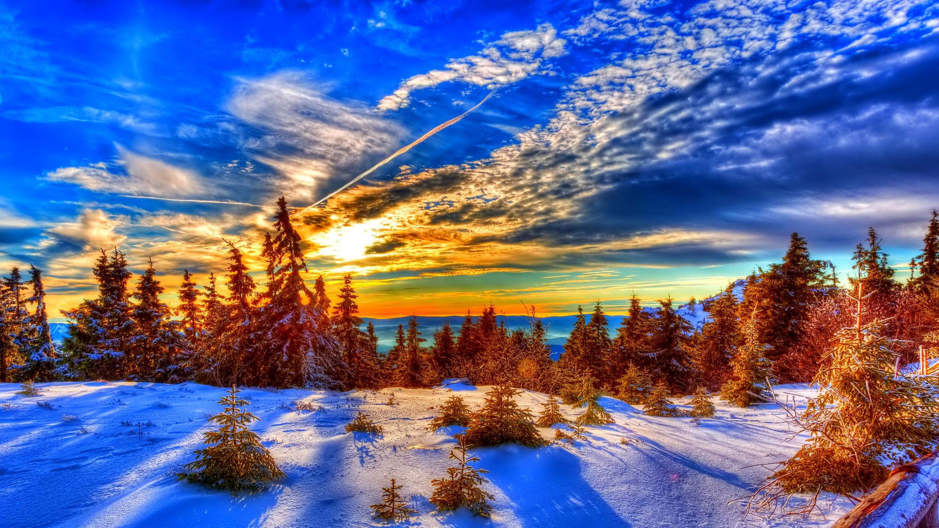 Fantastic Snow Pine Wallpaper