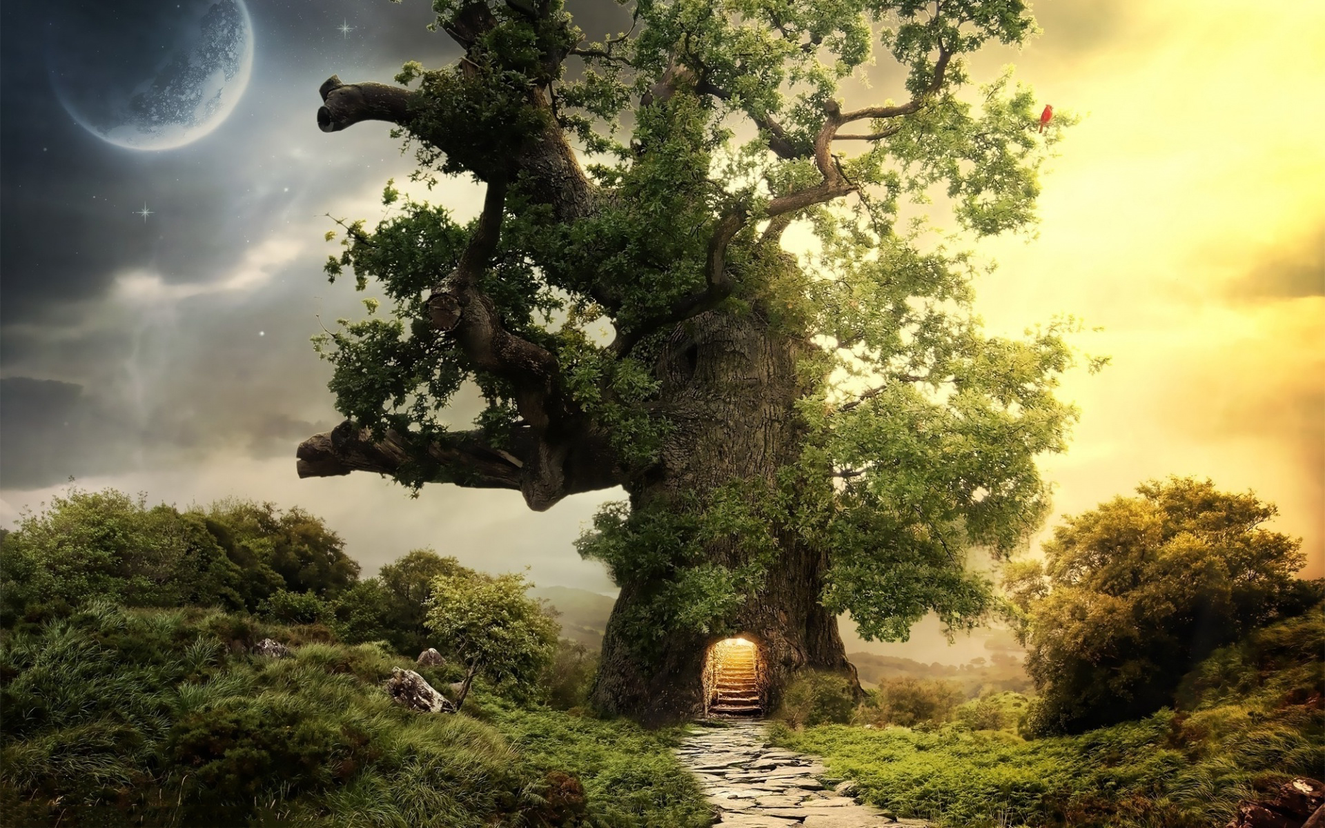 Fantasy house tree