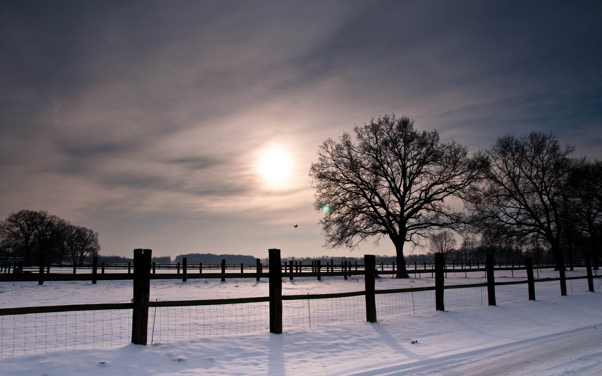 roads nature landscapes winter snow fence fields trees sunset sunrise sky clouds wallpaper background
