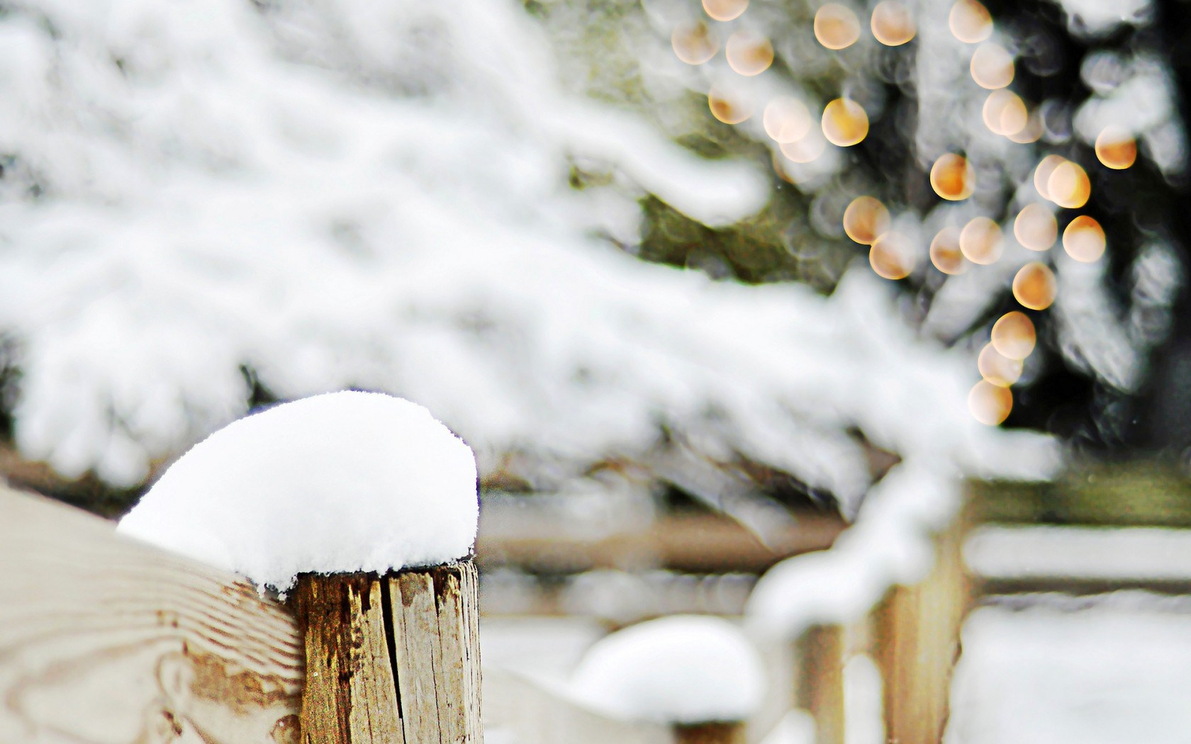 Fence Wood Snow Trees Branches Winter Bokeh Lights Christmas