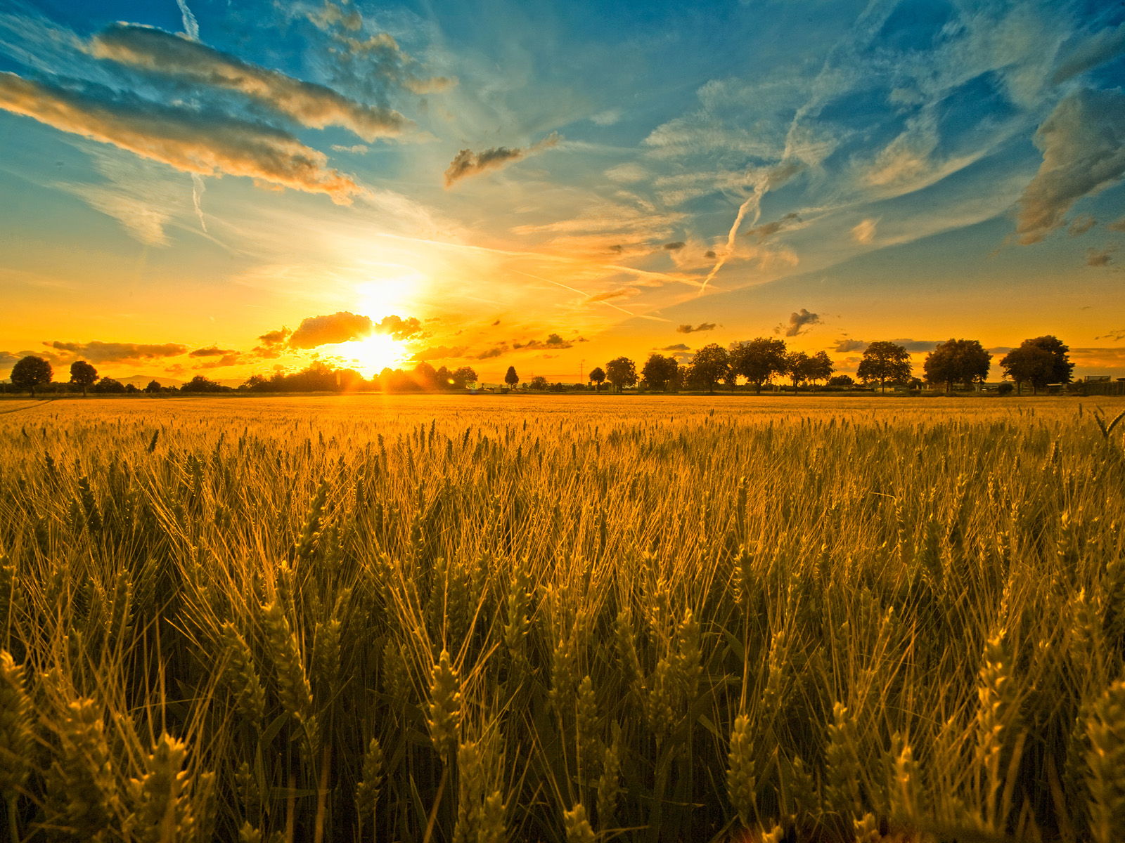 In the Alter Rebbe's maamer on this week's Torah portion, he introduces his famous allegory about the king in the field. The narrative symbolizes the ...