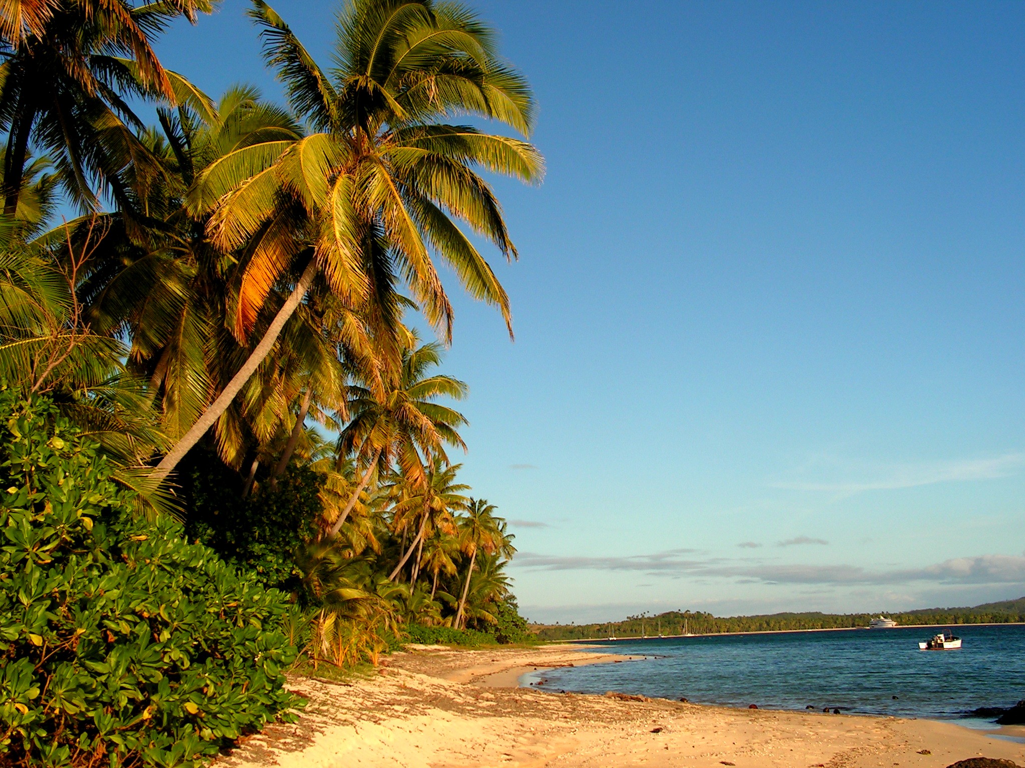 Coconut palms line the beaches of Fiji
