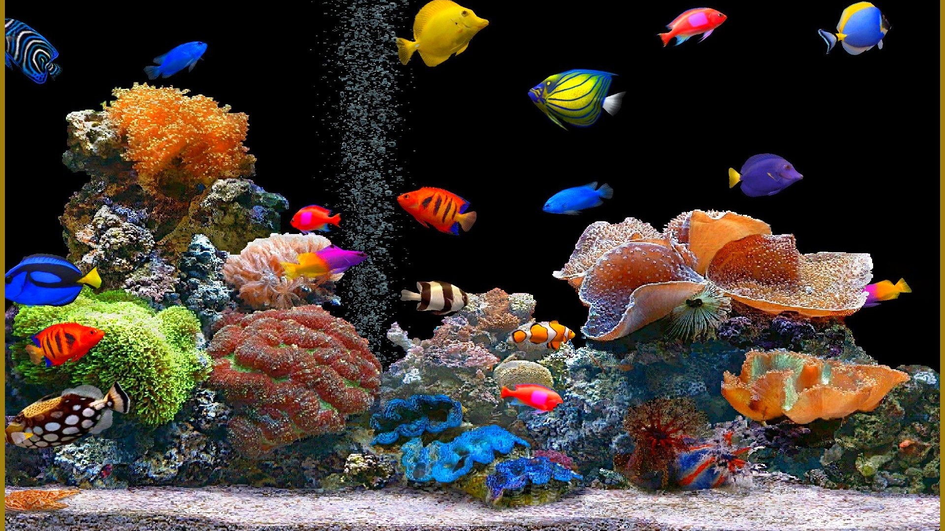 Beautiful Fish Wallpaper