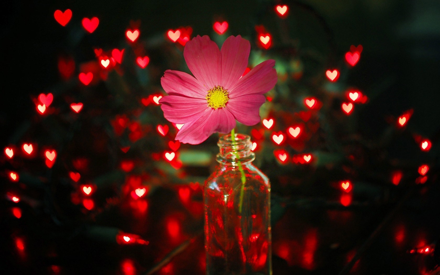 Flower Pink Jar Lights Red Hearts