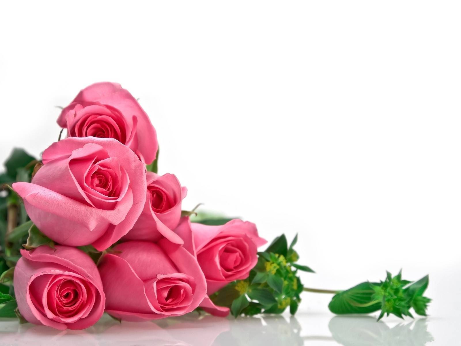 Flowers Images Roses For Desktop 5 HD Wallpapers