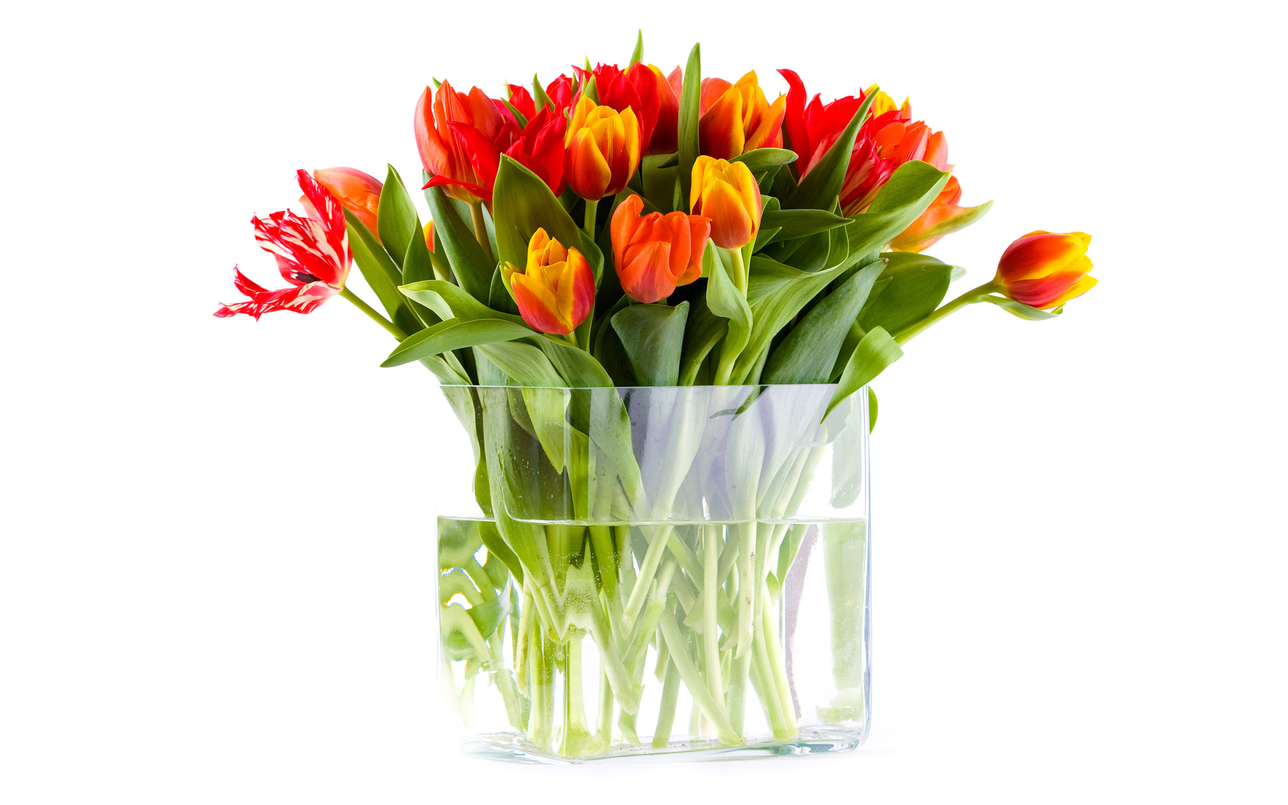 how to care in flowers in vase glass