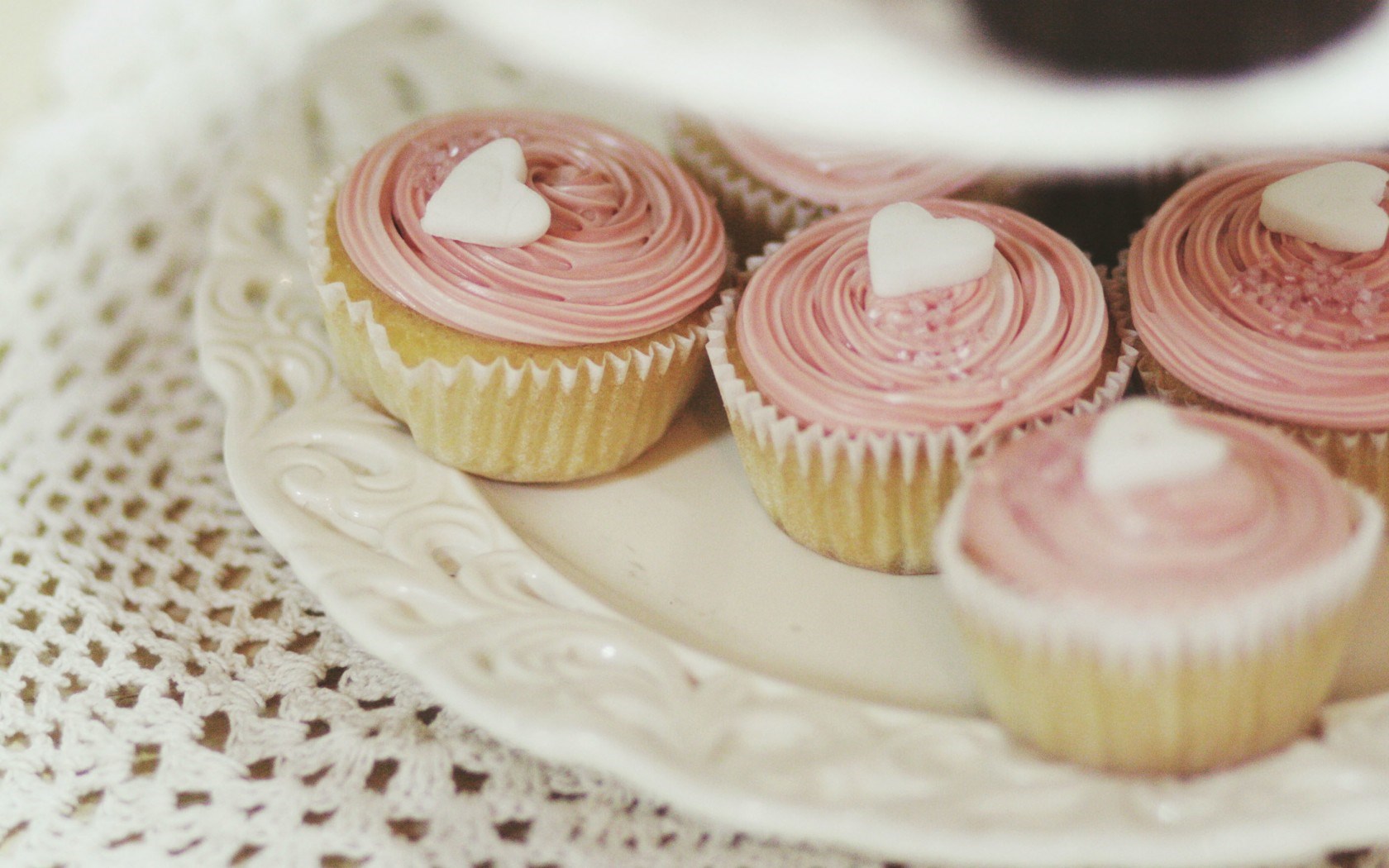 Food Sweets Cupcakes