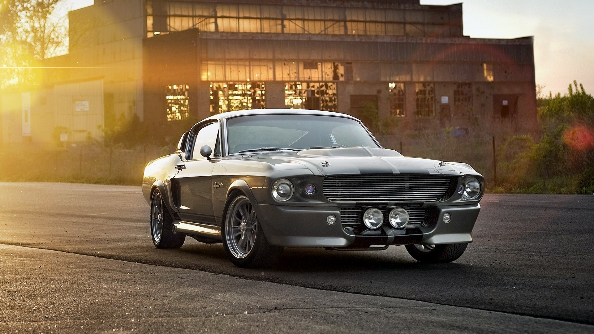 Ford Shelby GT500 Eleanor Muscle Car Photo