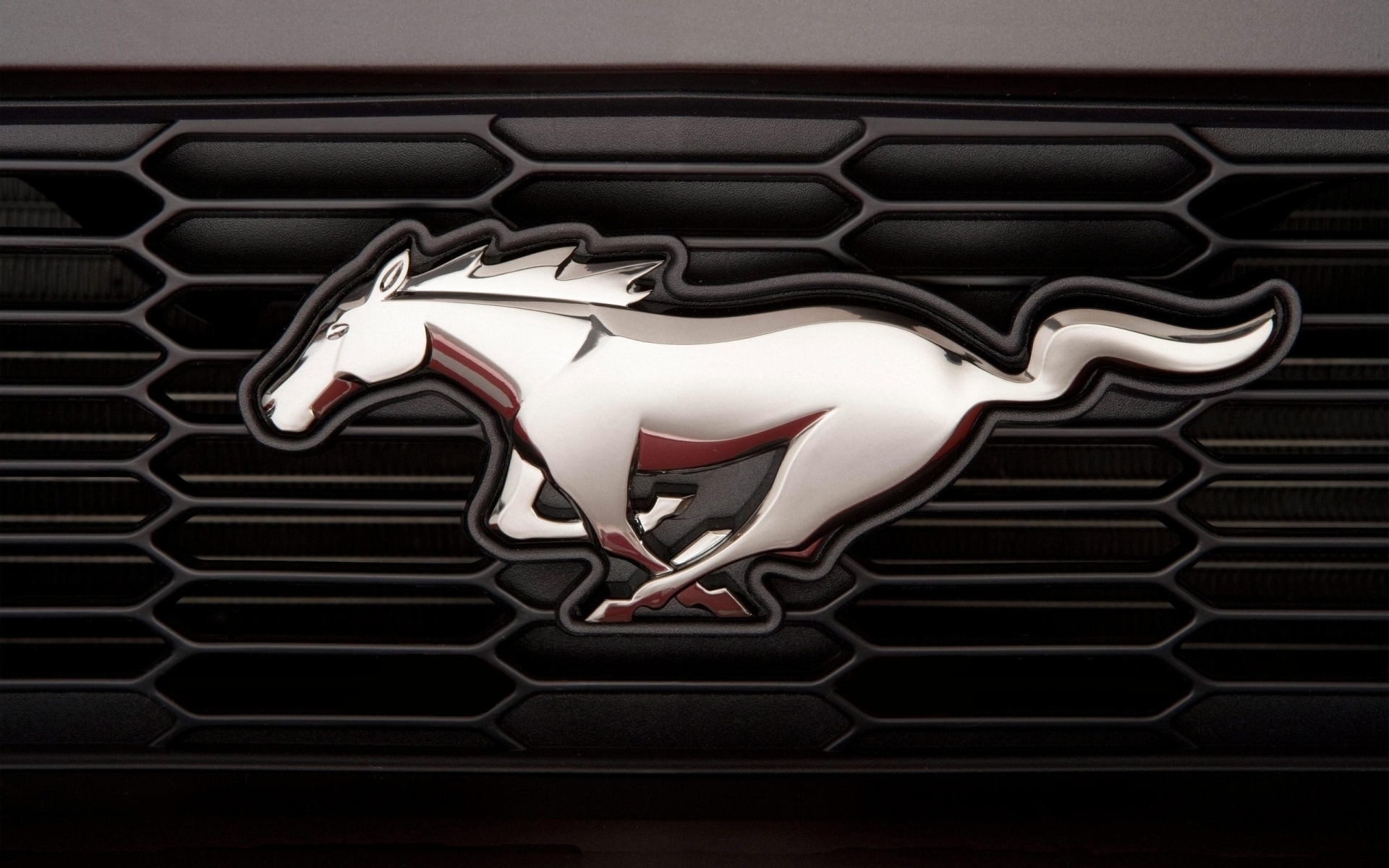 Ford mustang label