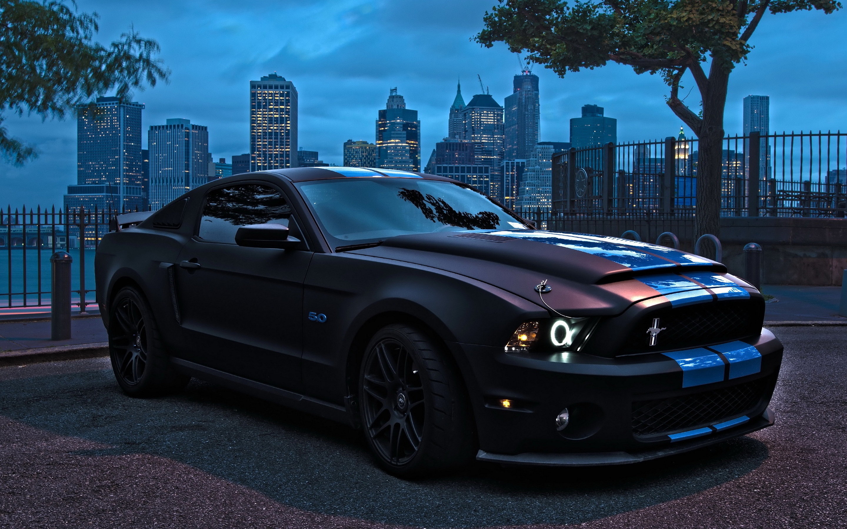 Ford Shelby GT500 Wallpaper Widescreen