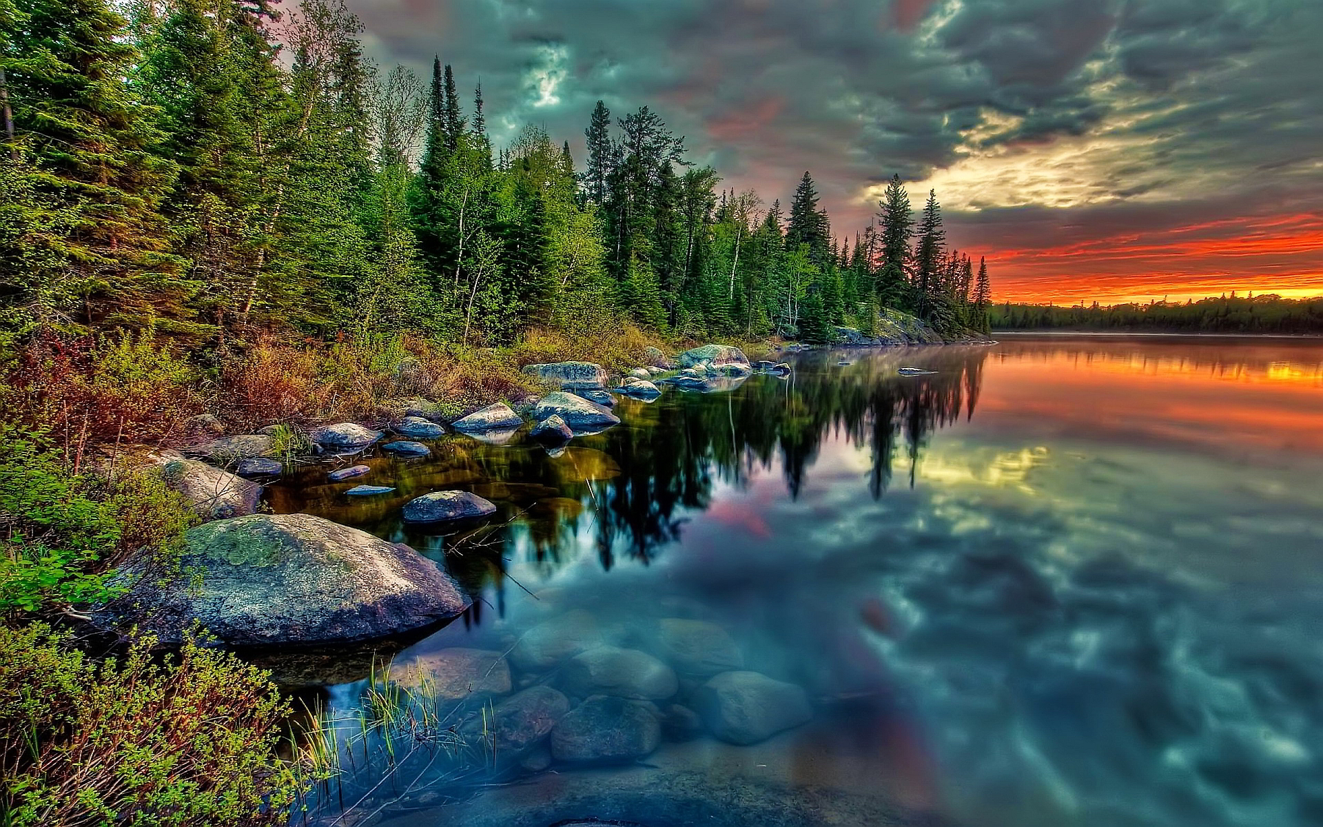 Forest lake sunset stones