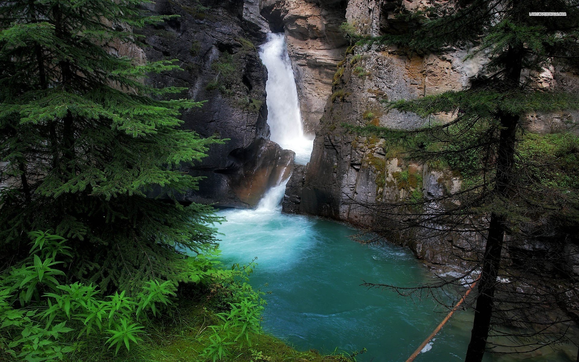 ... Forest Waterfall wallpaper 1920x1080 1080p ...