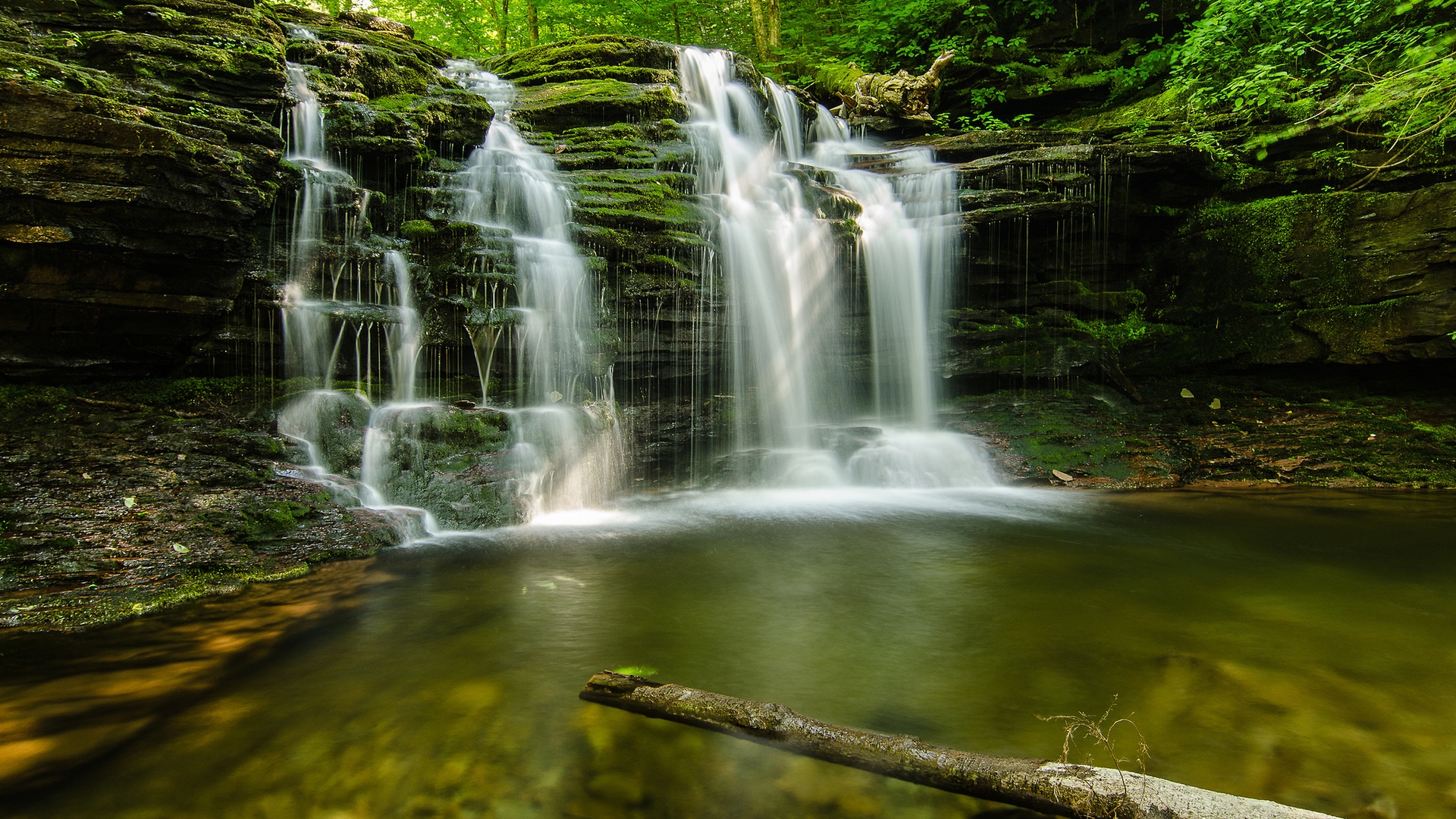 Forest Waterfall Pictures