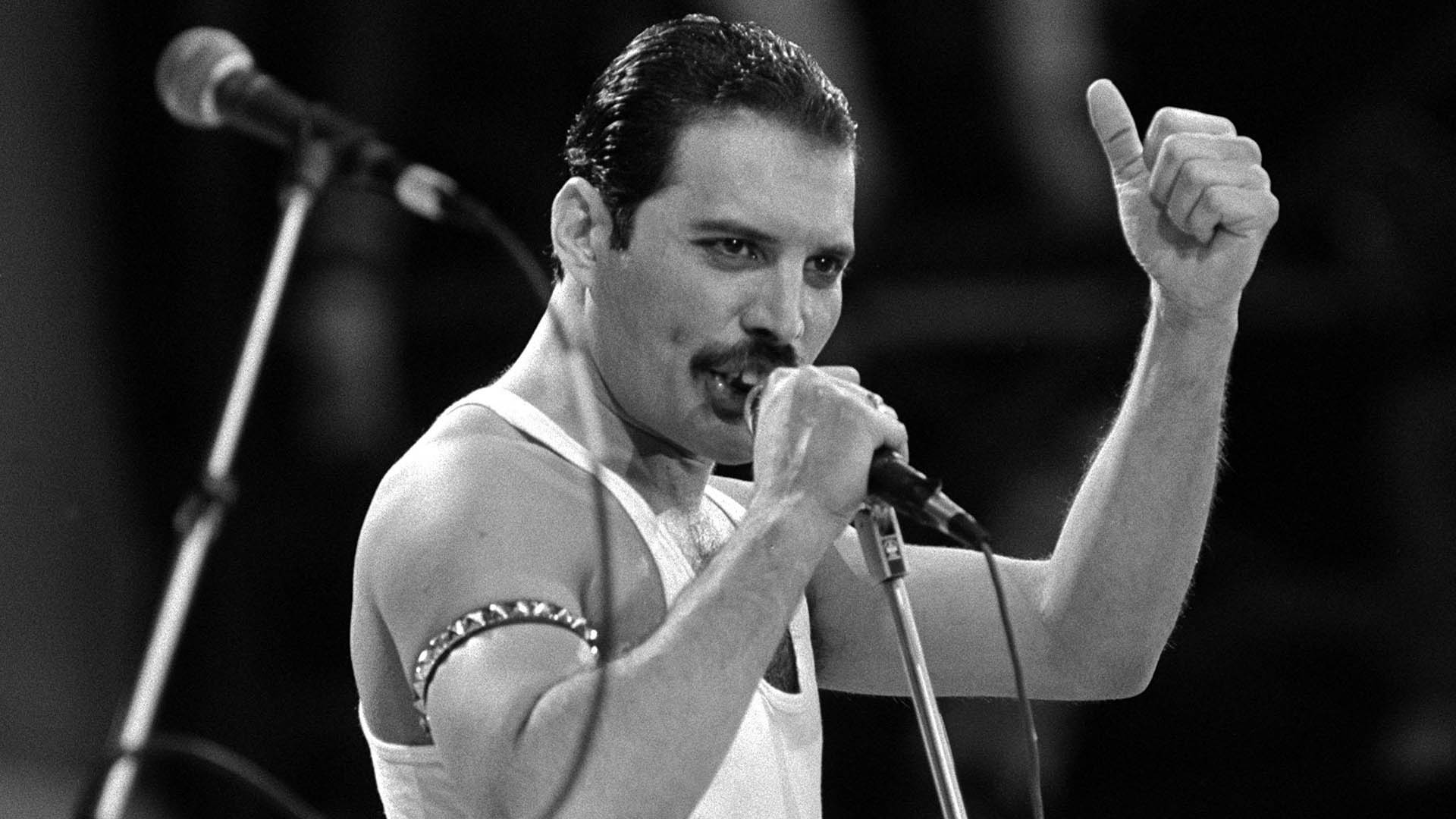 Freddie Mercury 2015 wallpapers Freddie Mercury pics