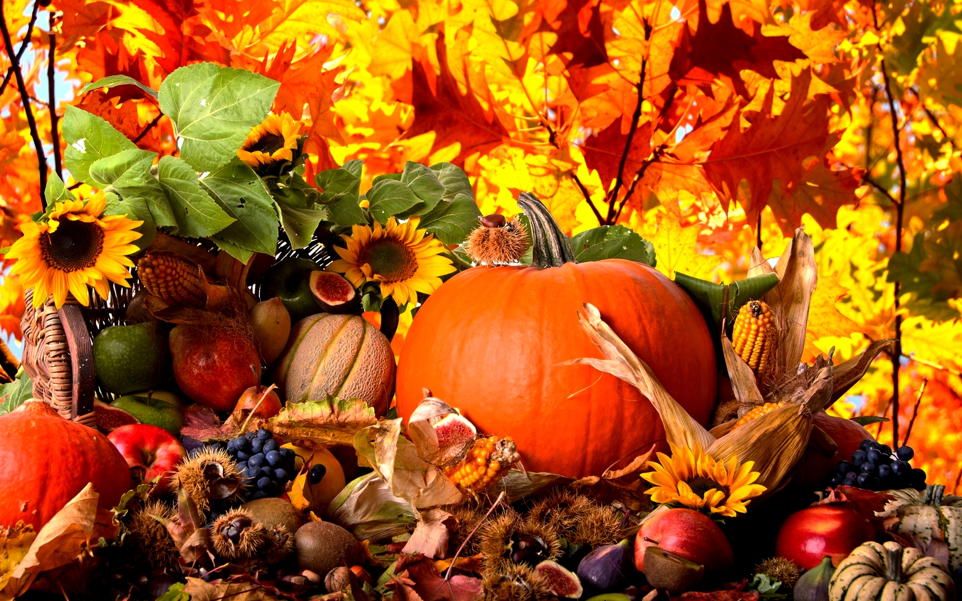 Autumn Harvest Abstract Wallpapers Hd Free 1920x1200px