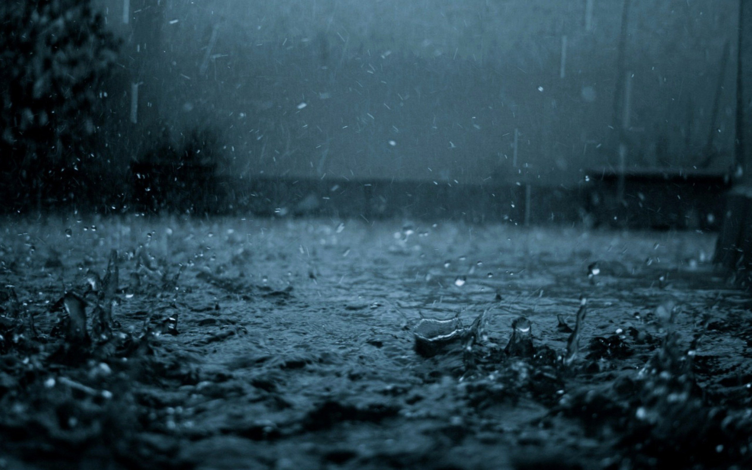 Glamorous Rain Desktop Wallpaper 2560x1600px