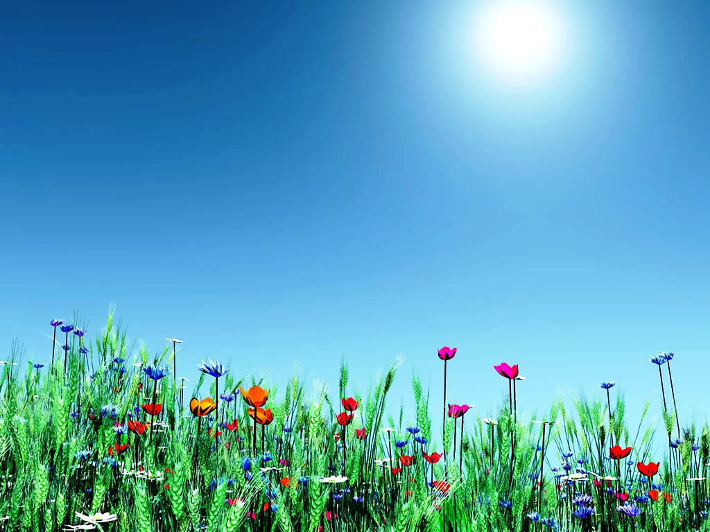 Free Spring Backgrounds