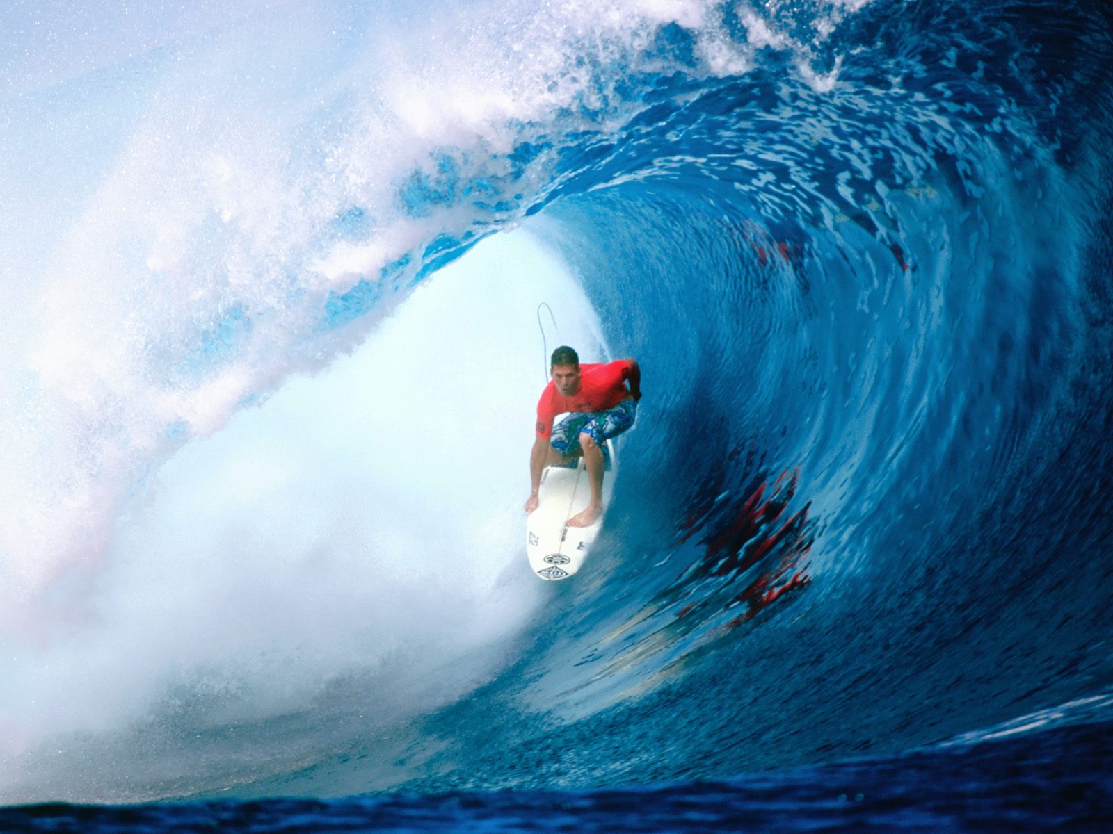 Free Surfing Wallpaper 12882