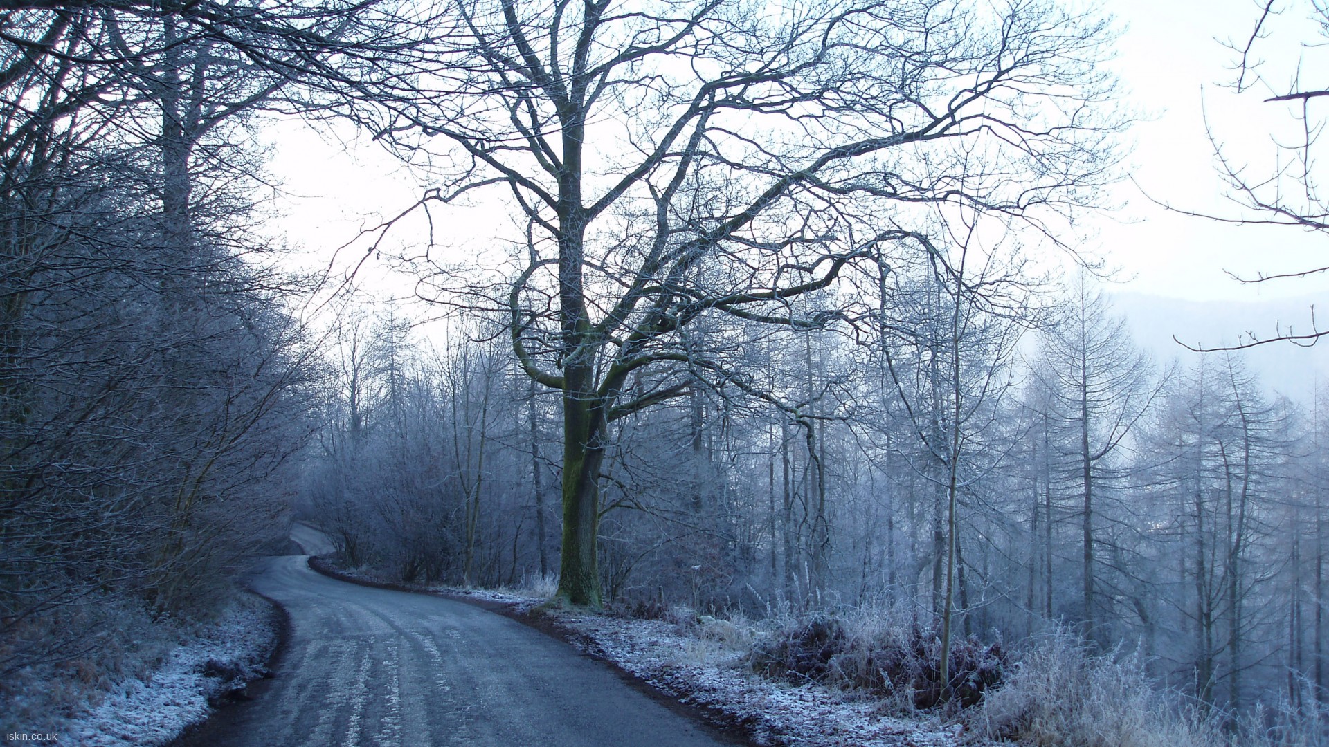 Frosted Road