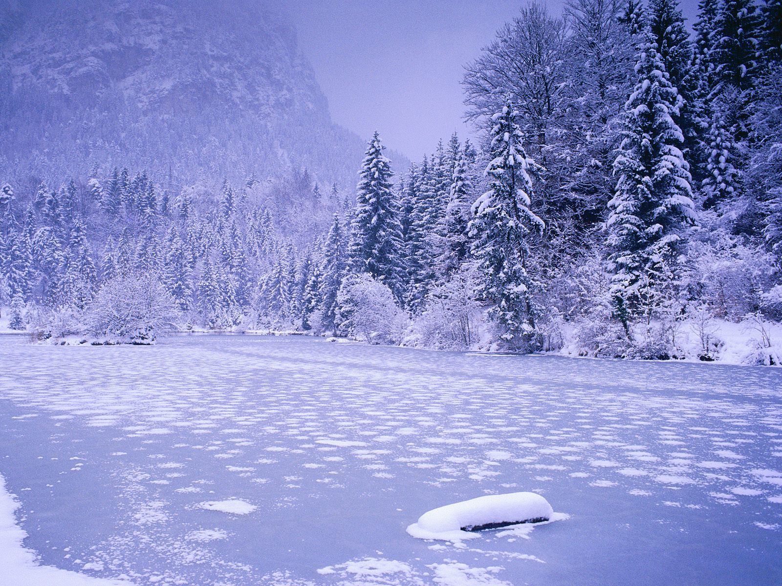 Frozen Lake Pictures