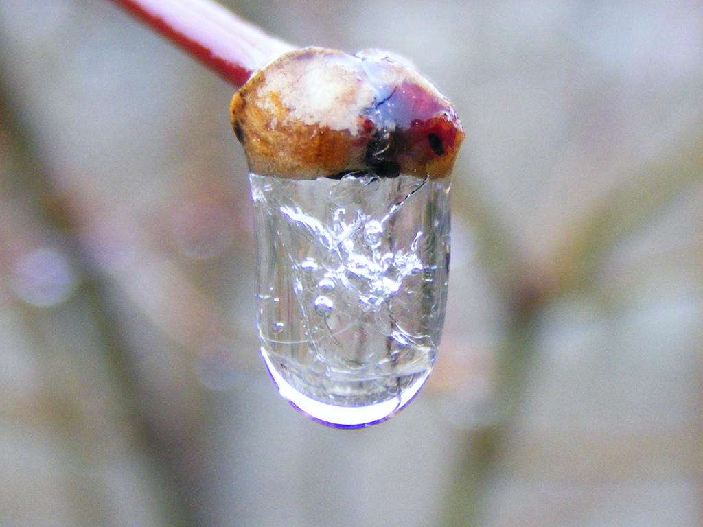 Frozen rain drop.