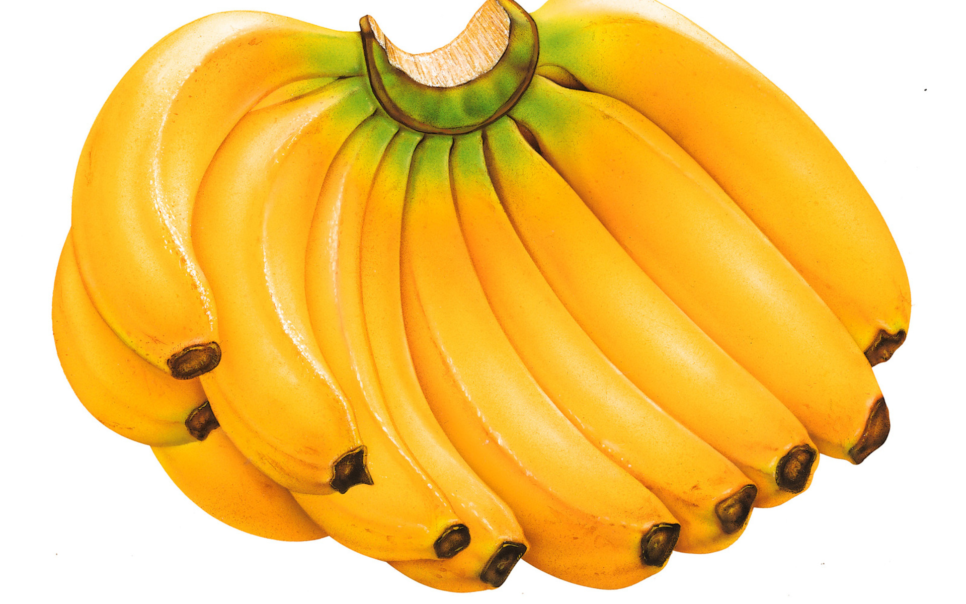 Banana Fruit Wallpapers