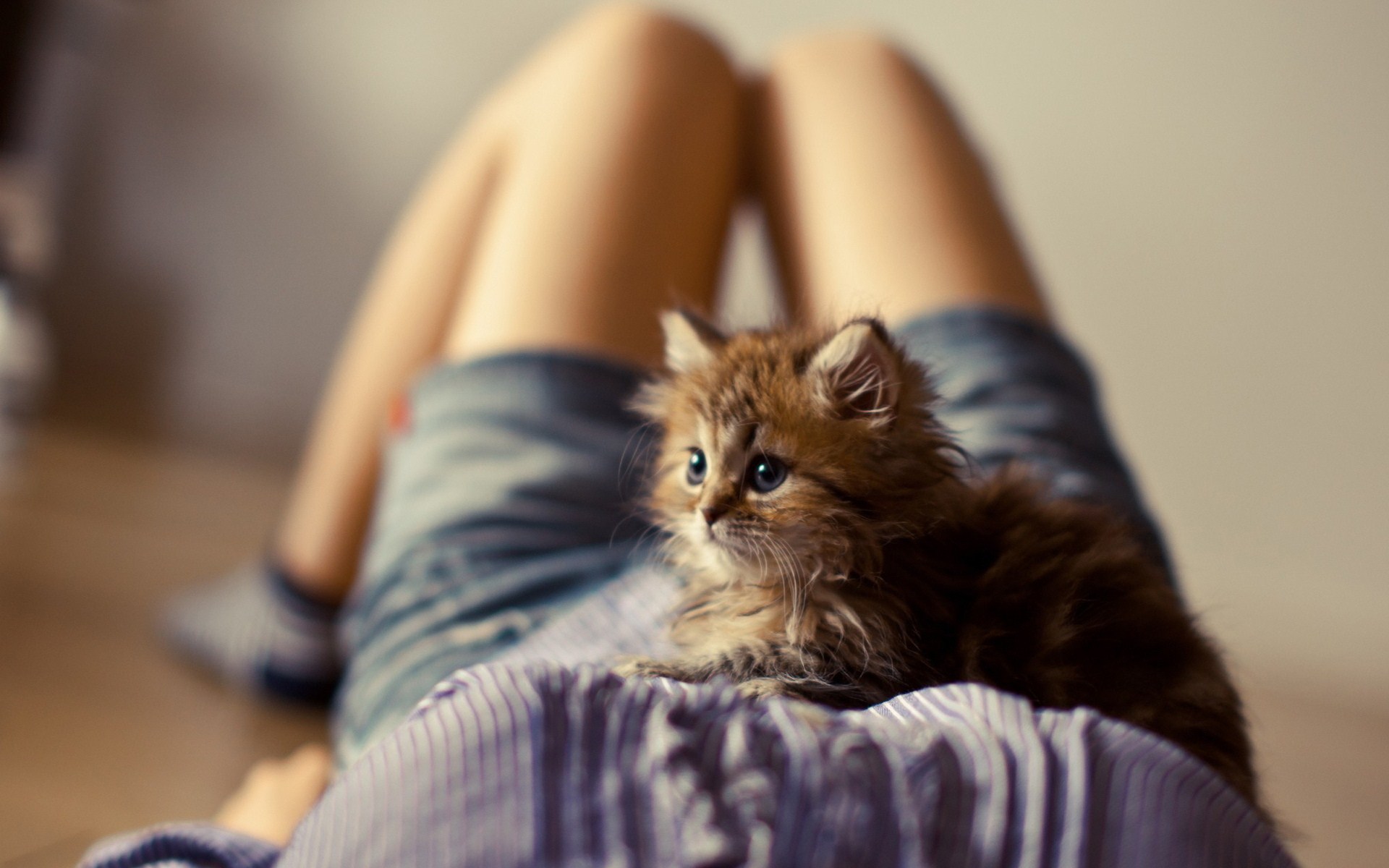 Girl Kitten Photo