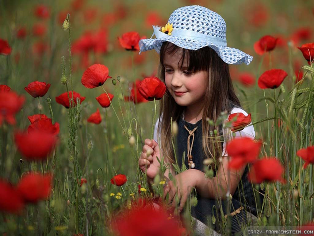 Girl Poppy Flower Field Wallpaper