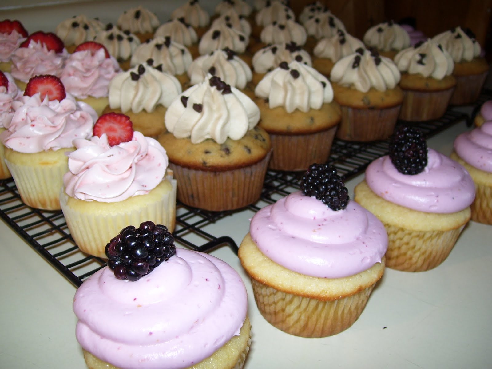 Gorgeous Cupcakes