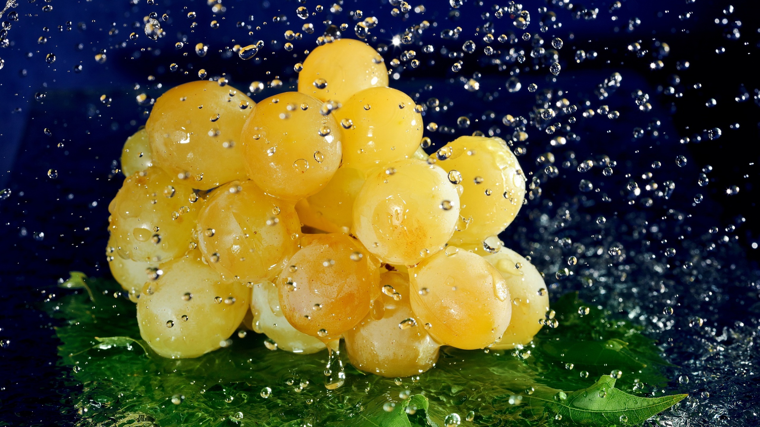 Description: The Wallpaper above is Grapes water drops Wallpaper in Resolution 2560x1440. Choose your Resolution and Download Grapes water drops Wallpaper