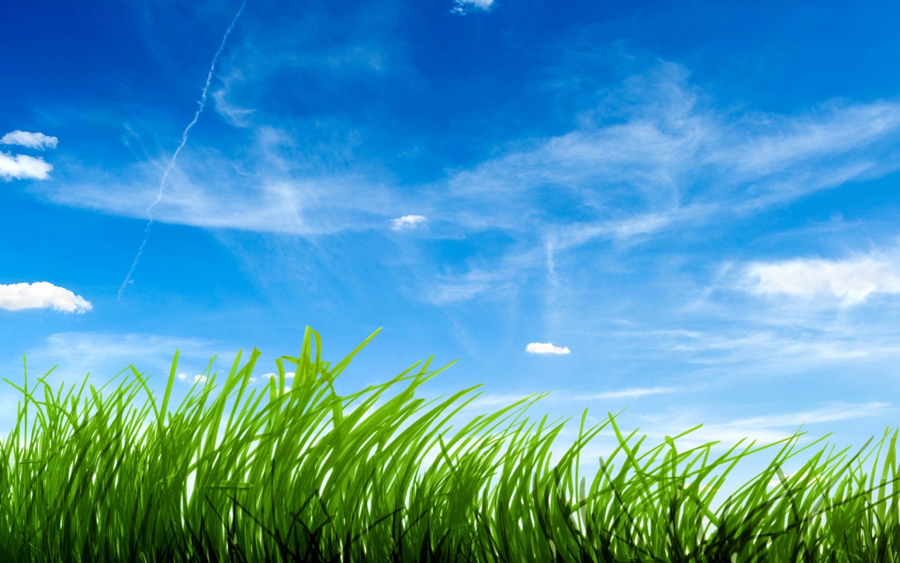 green-grass-clear-sky-background