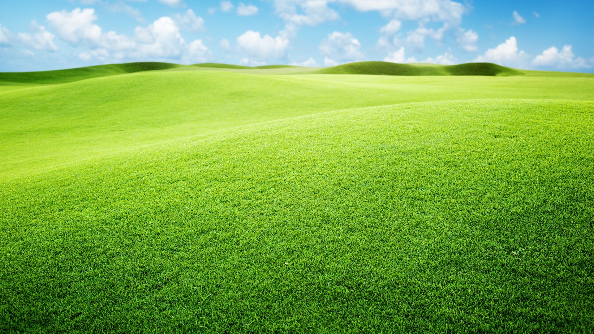 Green Landscape Wallpaper 12971