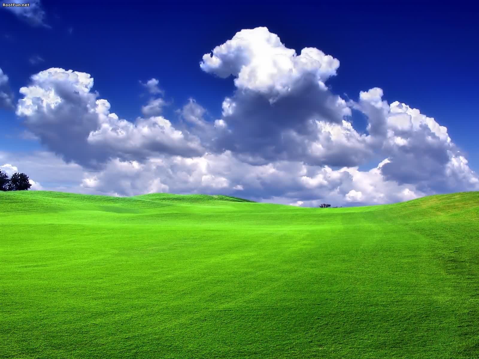 Green Landscape Background