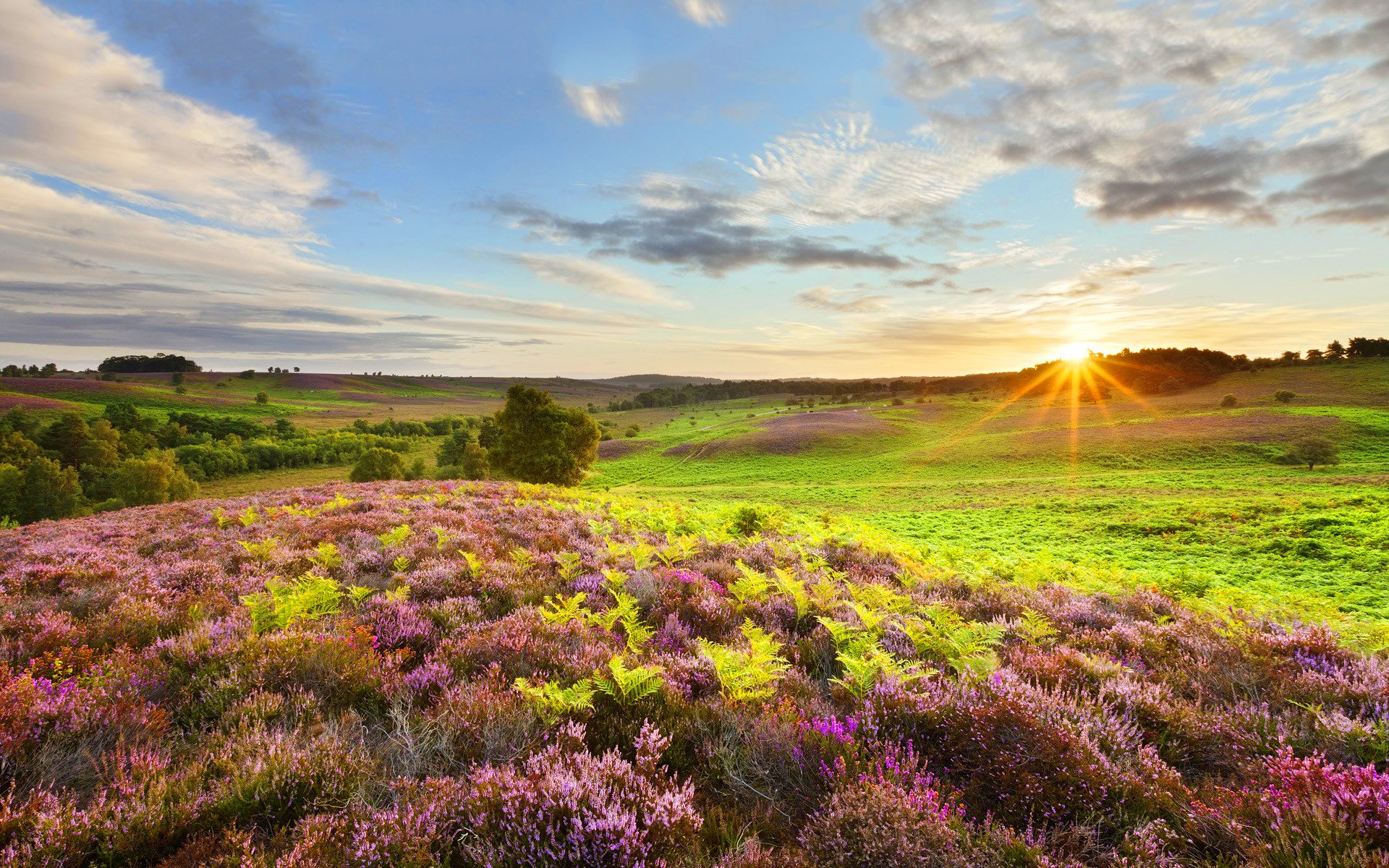 Hampshire england landscape