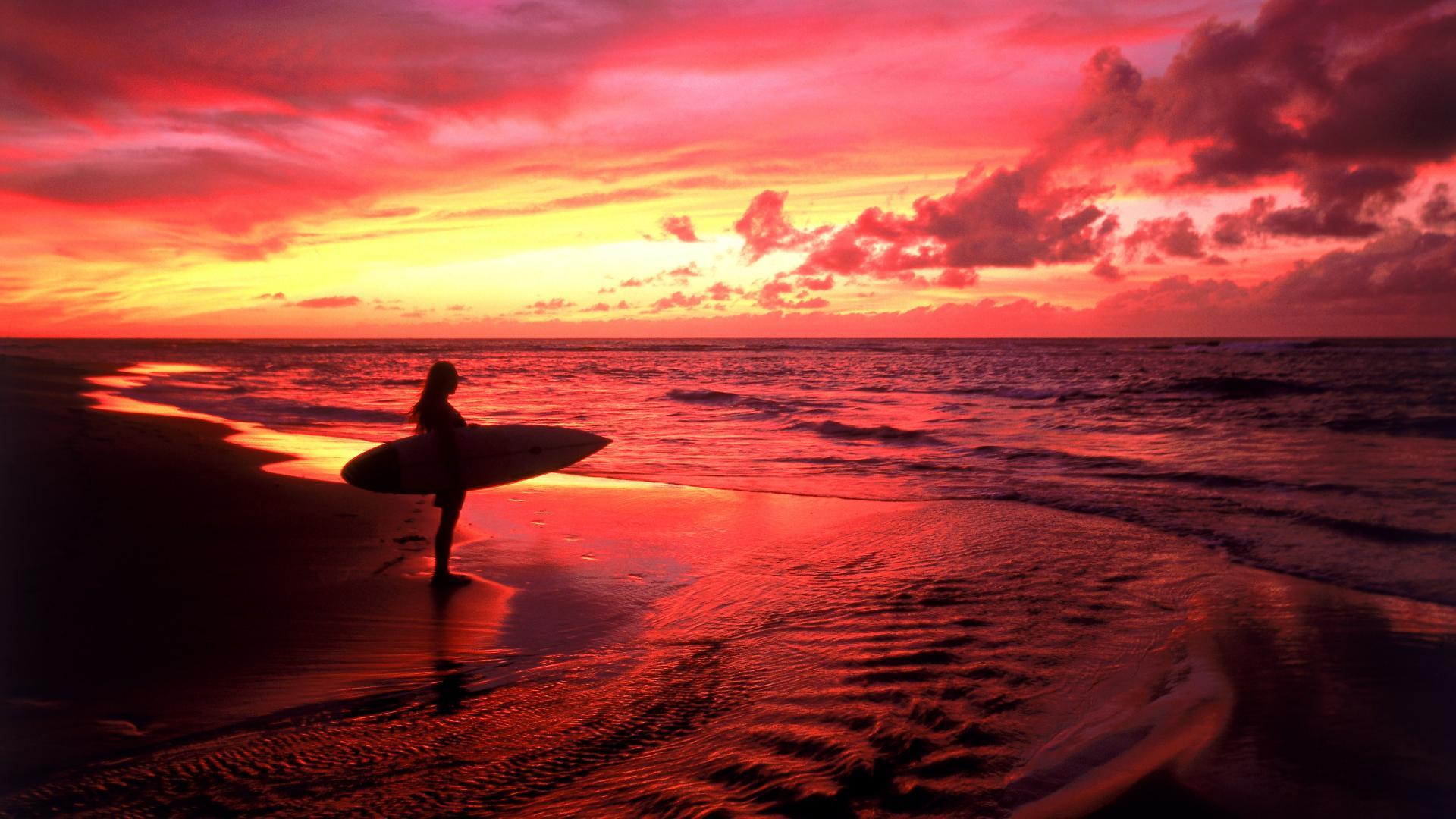 hawaii beach surf #5