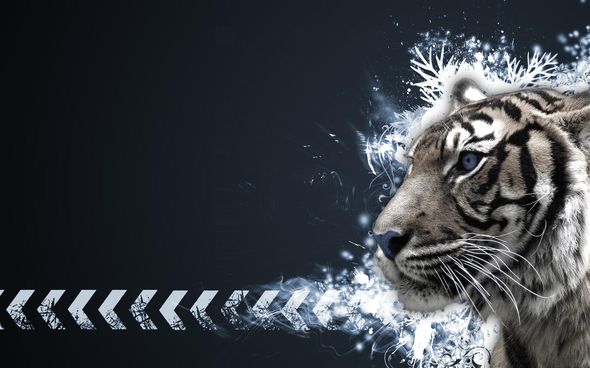 Chic Tigers The Animal Kingdom Wallpaper Xpx Lovely