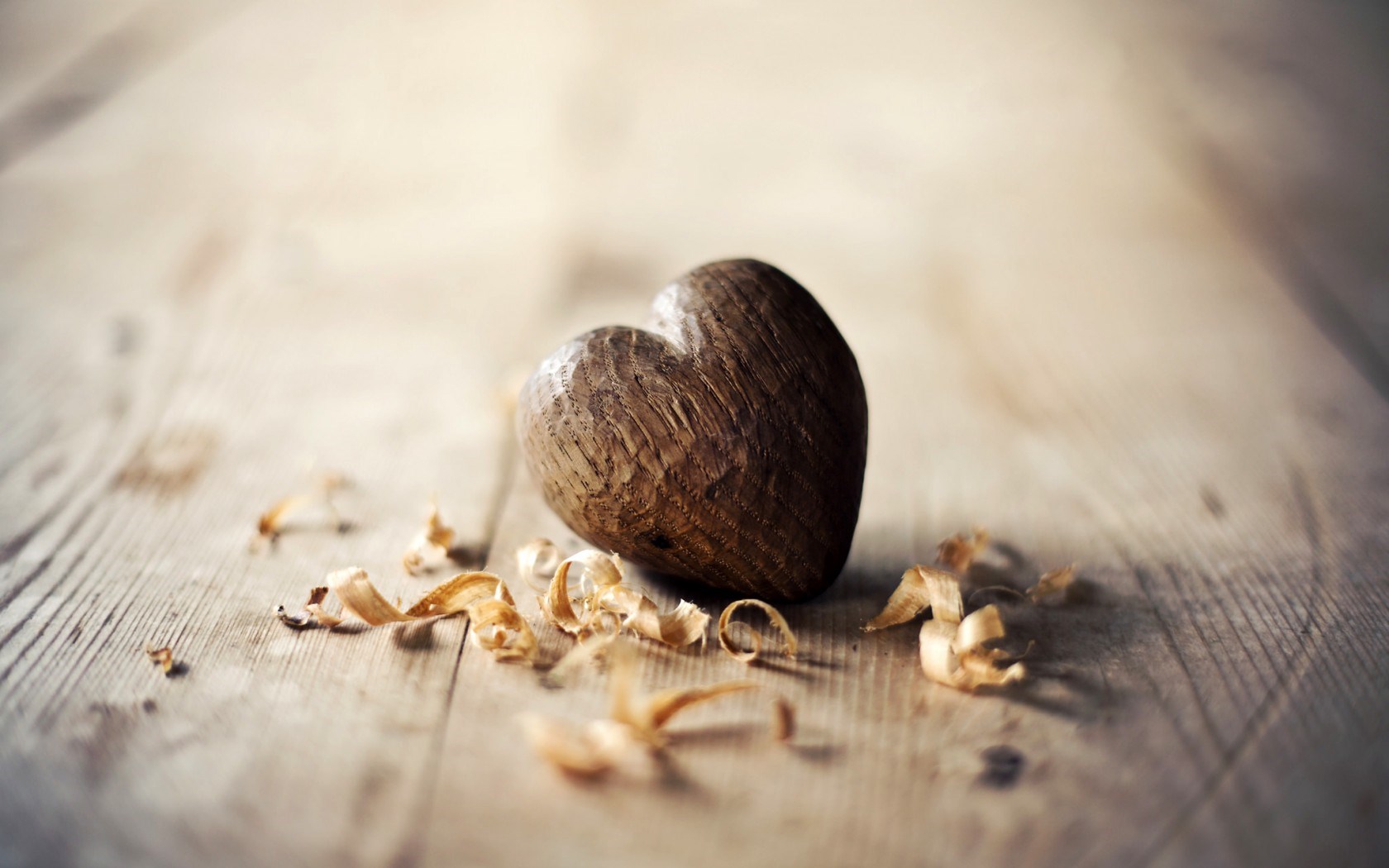 Heart Wood Shavings Sawdust Love