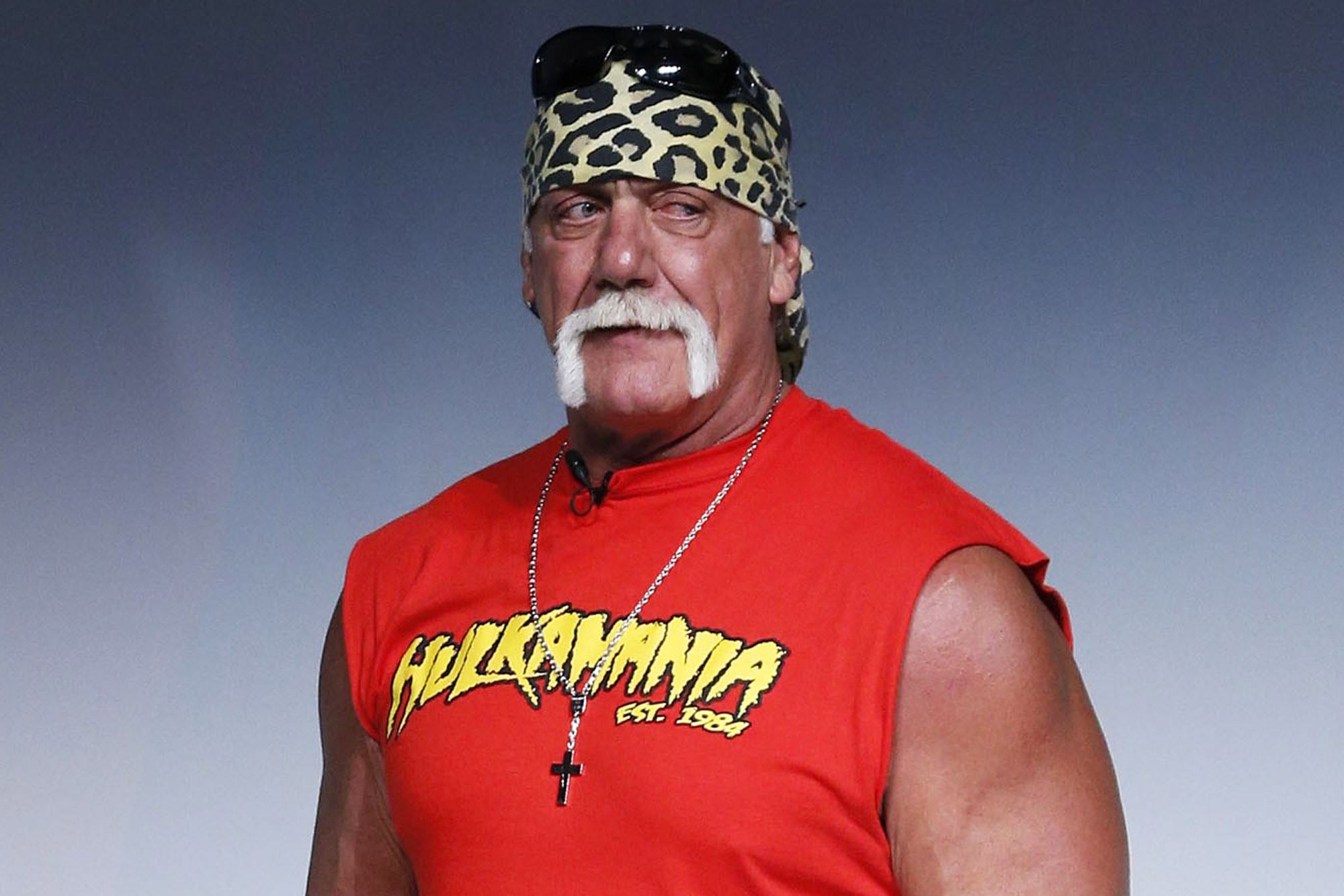 Hulk Hogan says he hit rock bottom after his reality show was canceled. Photo: Everett Collection