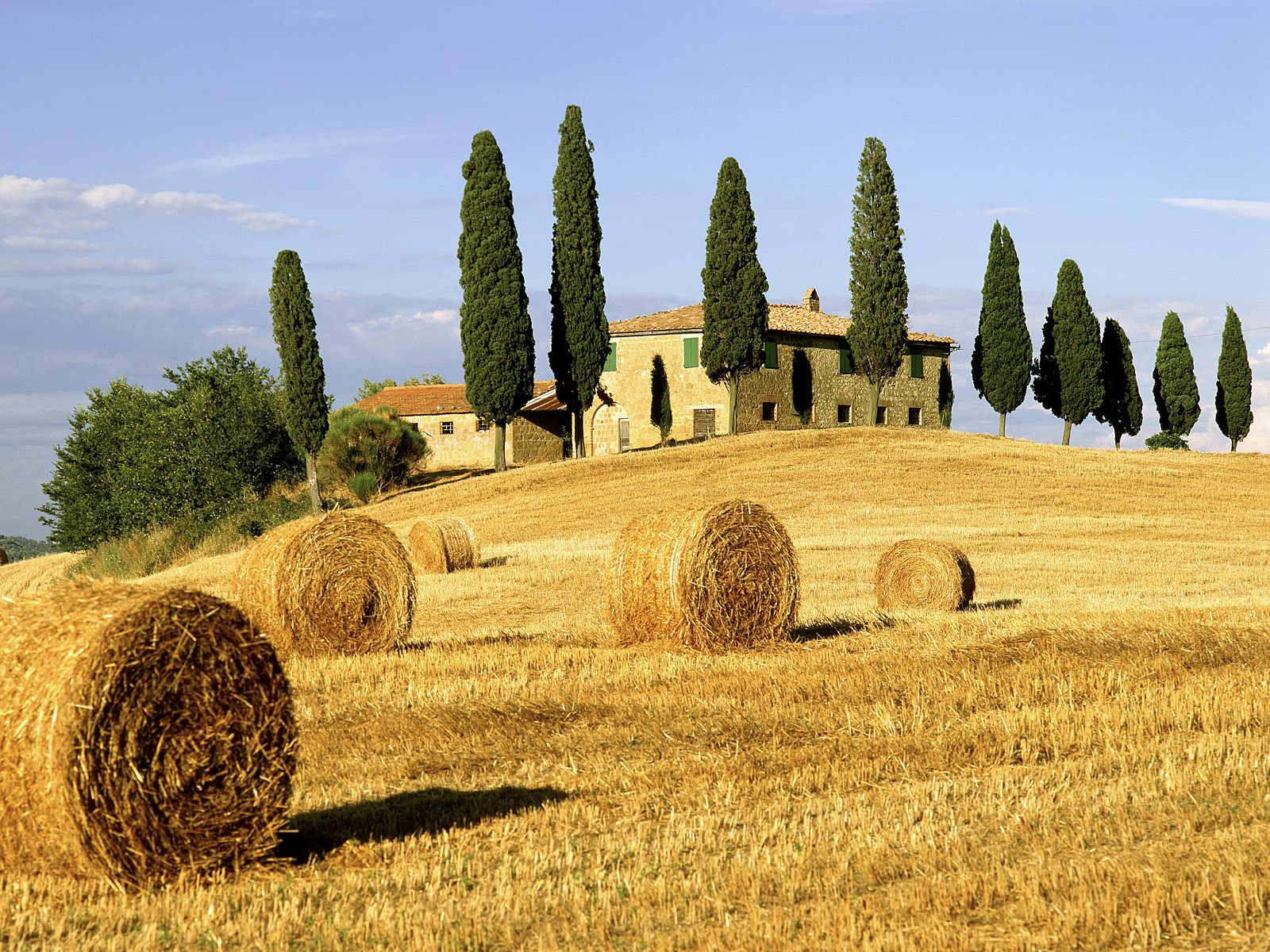 Tuscany Italy Field Photo